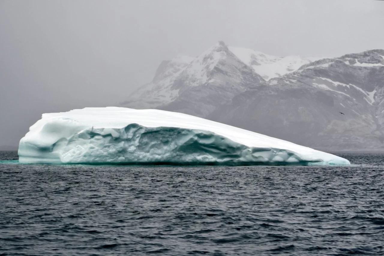 Fortuna Bay South Georgia - 18.jpeg