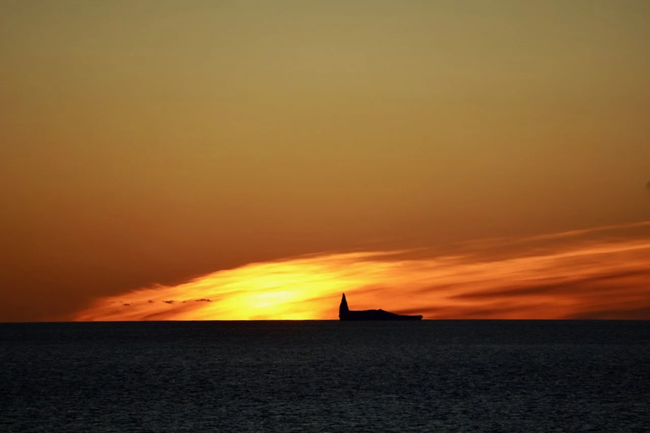 Elephant Island Sea Ice Humpback + Fin Whales - 192.jpeg