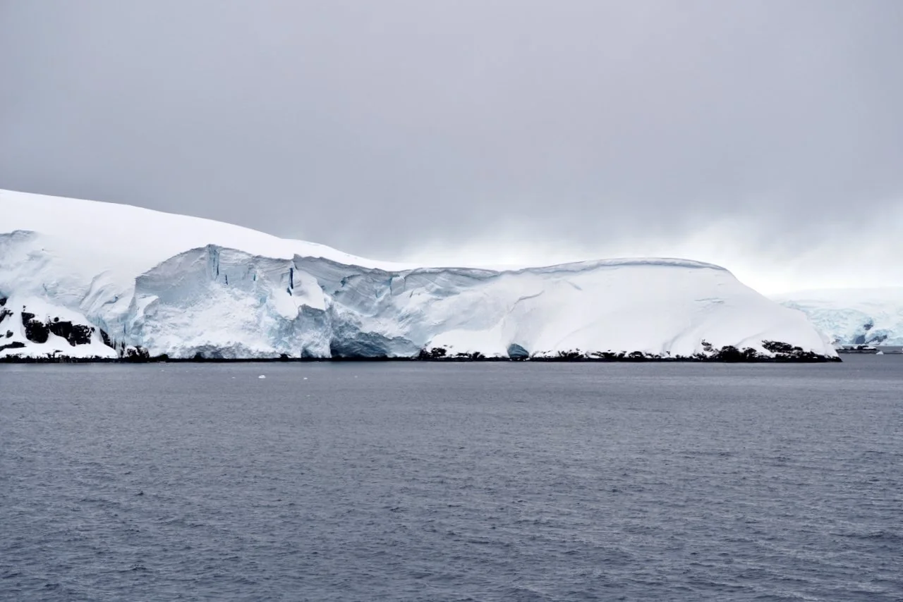 DHainaut Island Mikkelson Harbour - 6.jpeg