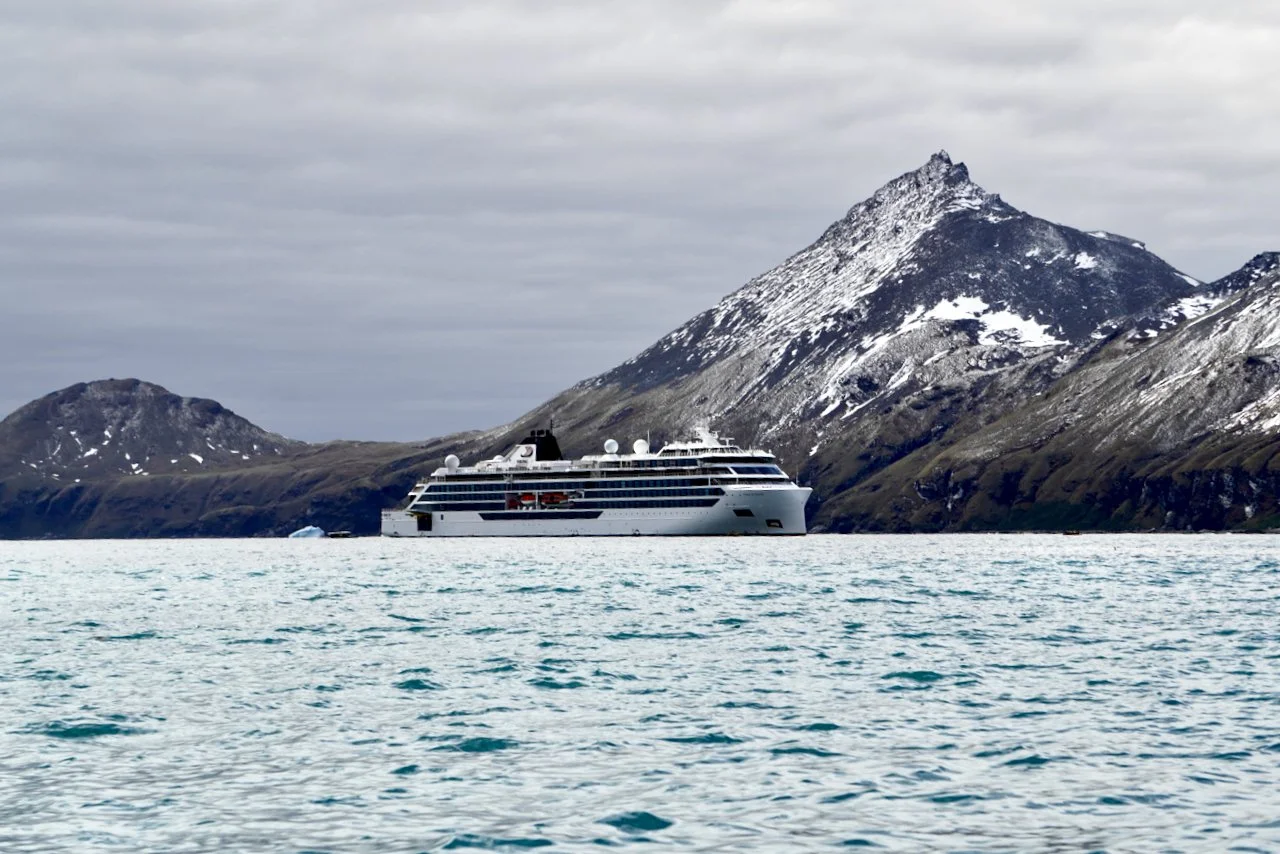 Royal Bay South Georgia - 55.jpeg