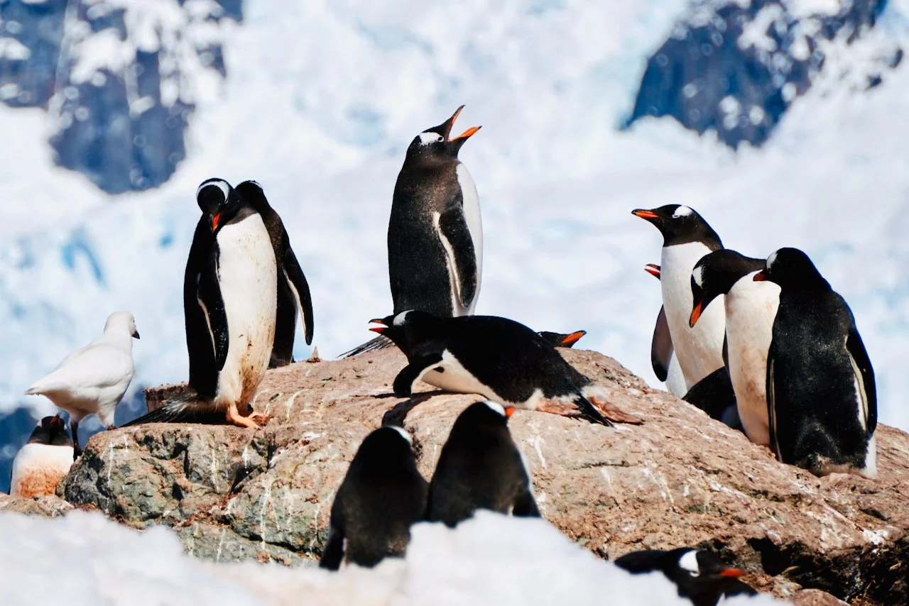 Brown Station Paradise Harbour - 55.jpeg