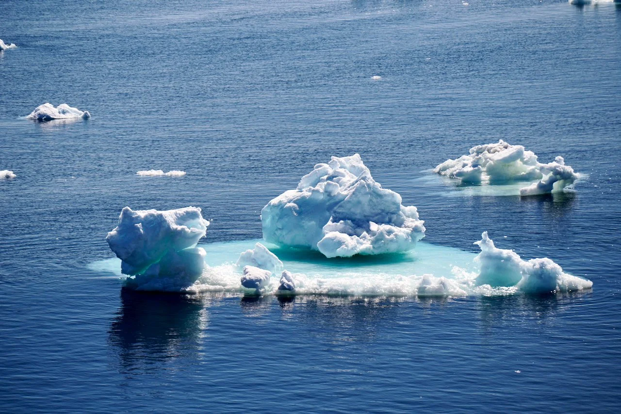 Elephant Island Sea Ice Humpback + Fin Whales - 36.jpeg