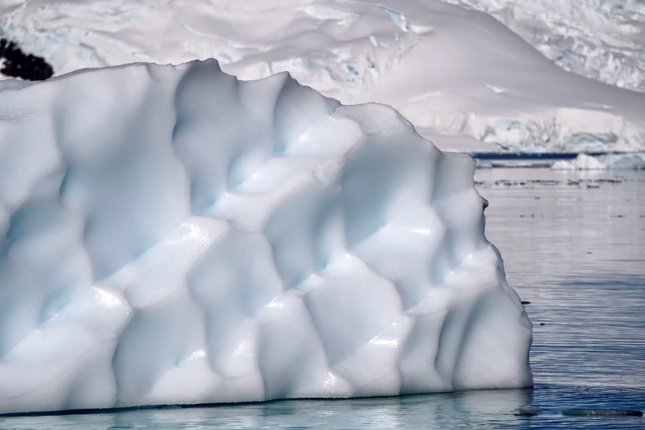 Brown Station Paradise Harbour - 3.jpeg