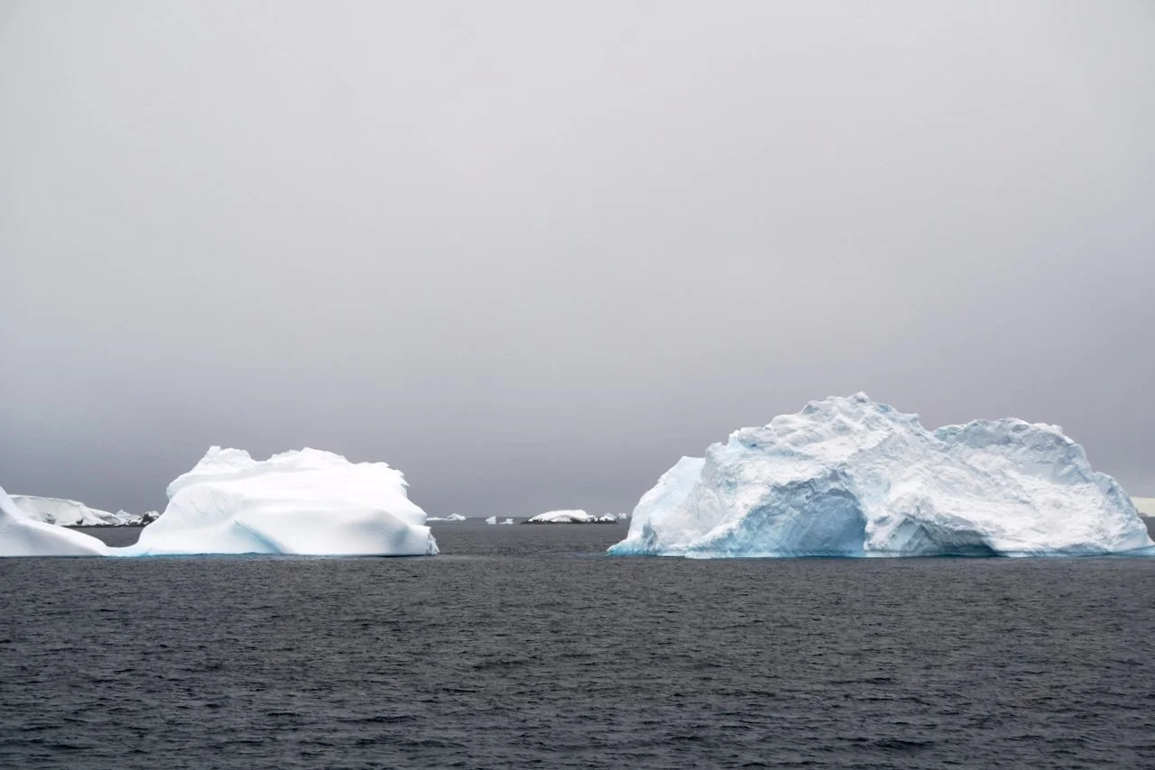 DHainaut Island Mikkelson Harbour - 4.jpeg