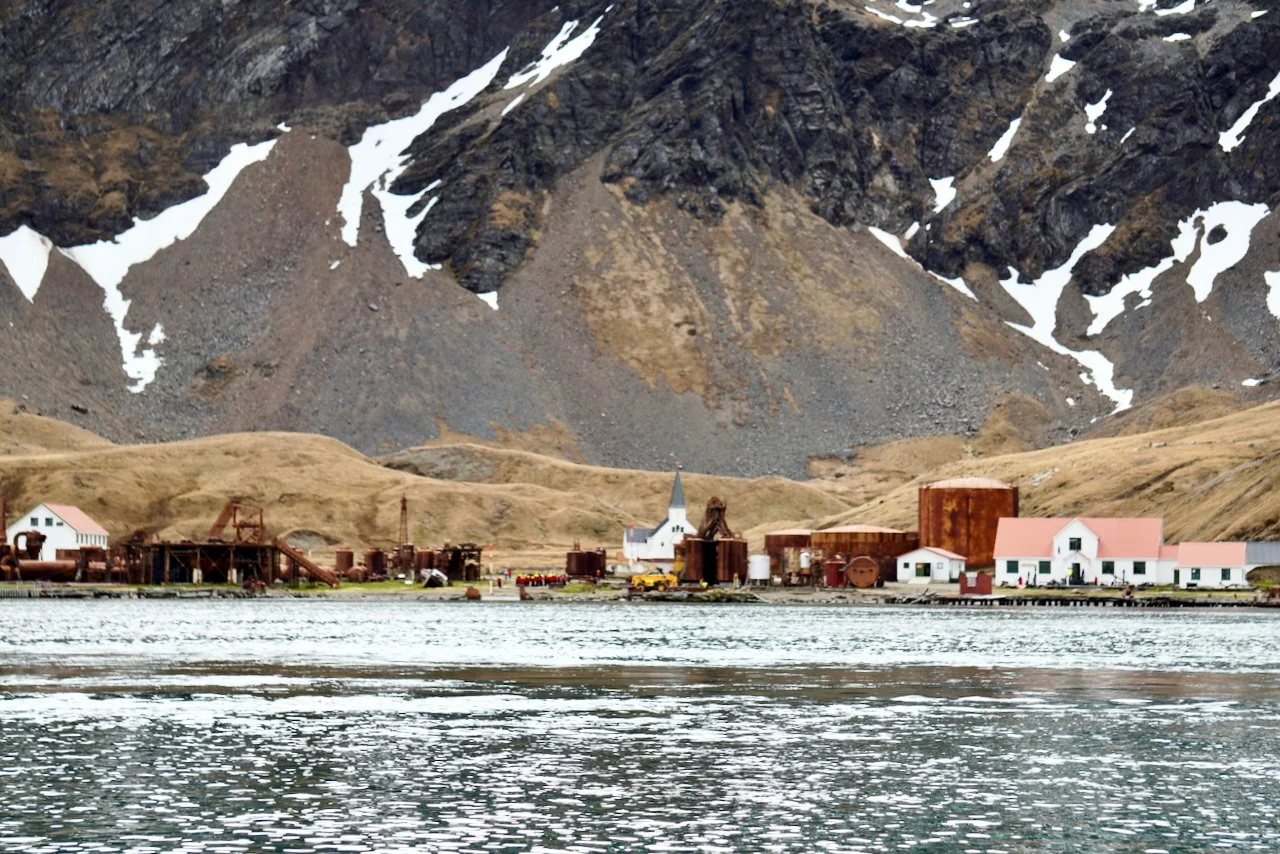 Grytviken South Georgia - 1.jpeg