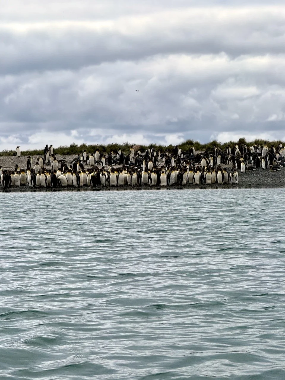 Royal Bay Kayaking iPhone - 24.jpeg