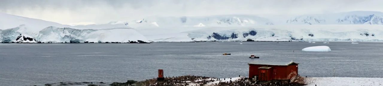 DHainaut Island Mikkelson Harbour - 52.jpeg