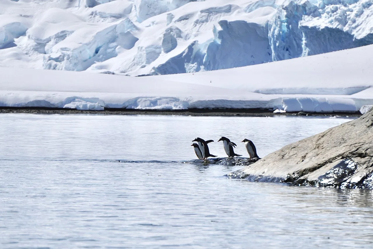 Brown Station Paradise Harbour - 33.jpeg