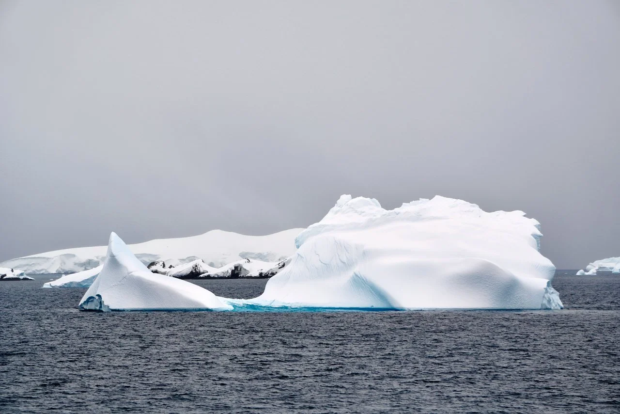 DHainaut Island Mikkelson Harbour - 3.jpeg