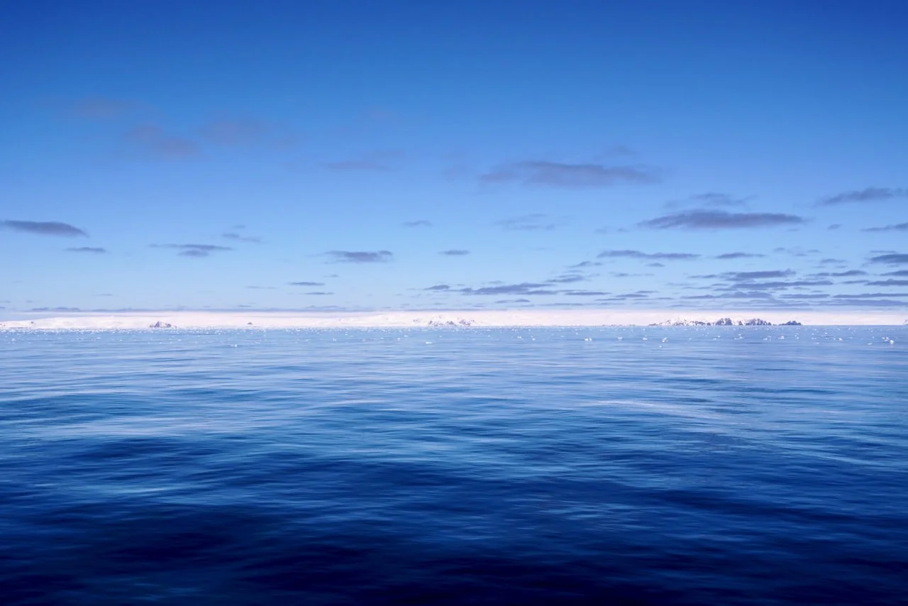 Elephant Island Sea Ice Humpback + Fin Whales - 43.jpeg