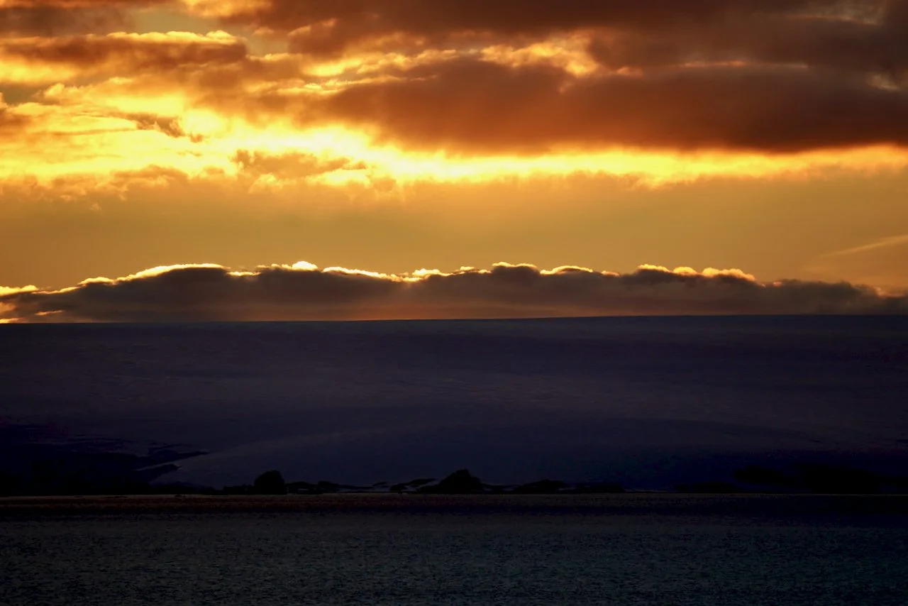 Elephant Island Sea Ice Humpback + Fin Whales - 186.jpeg