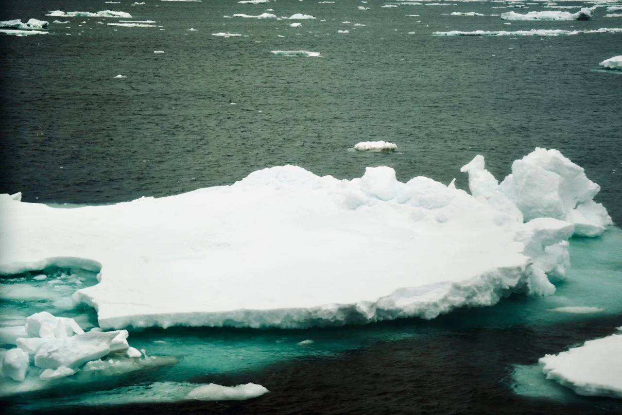Elephant Island Sea Ice Humpback + Fin Whales - 16.jpeg