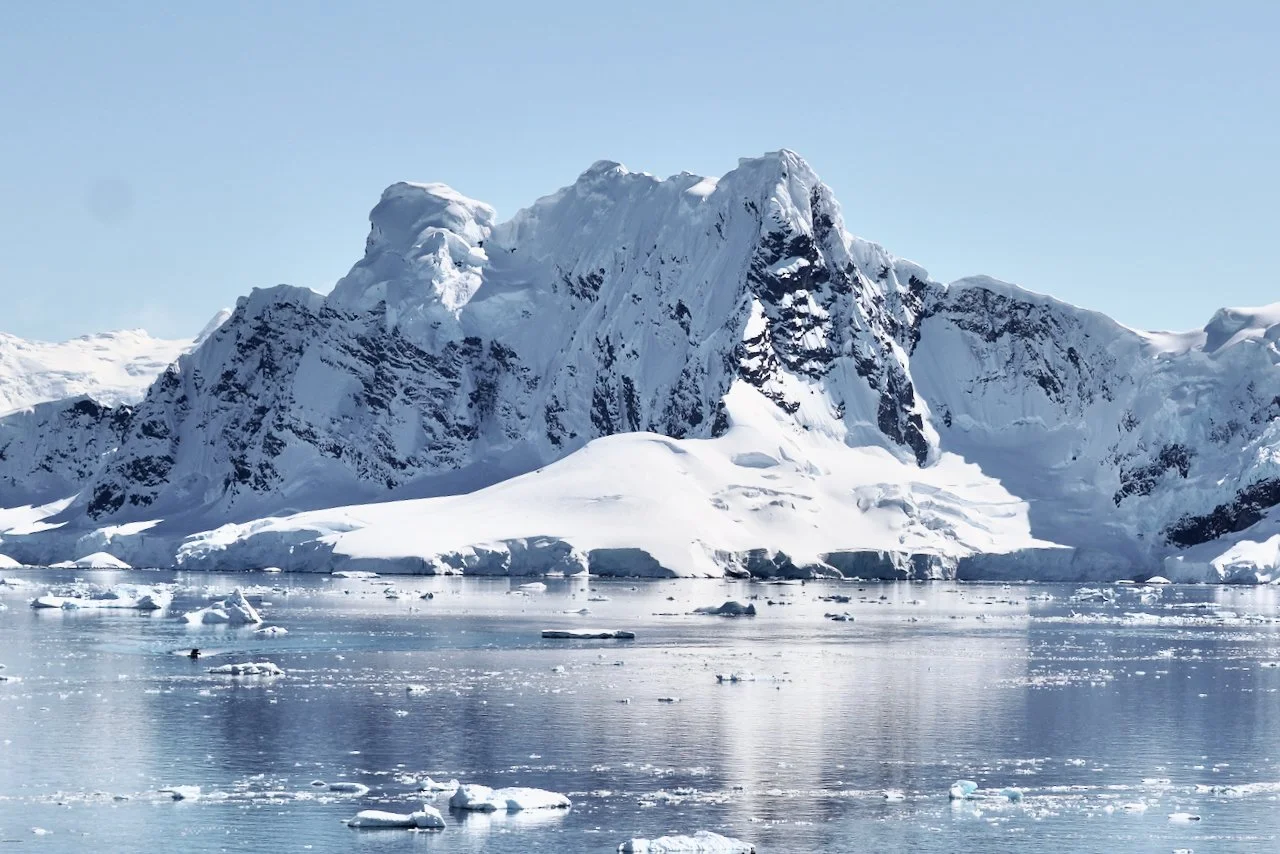 Brown Station Paradise Harbour - 47.jpeg