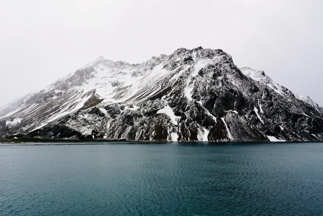 Fortuna Bay South Georgia - 29.jpeg