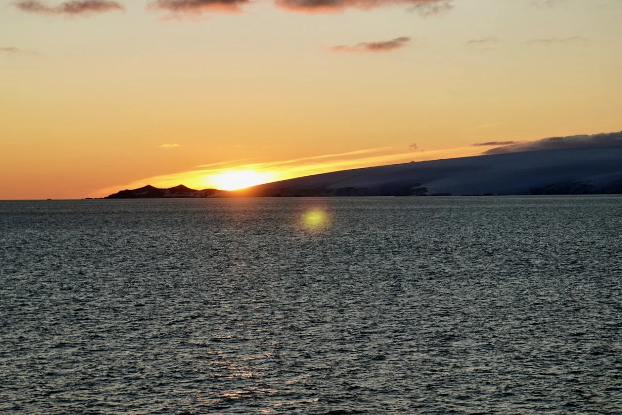 Elephant Island Sea Ice Humpback + Fin Whales - 187.jpeg