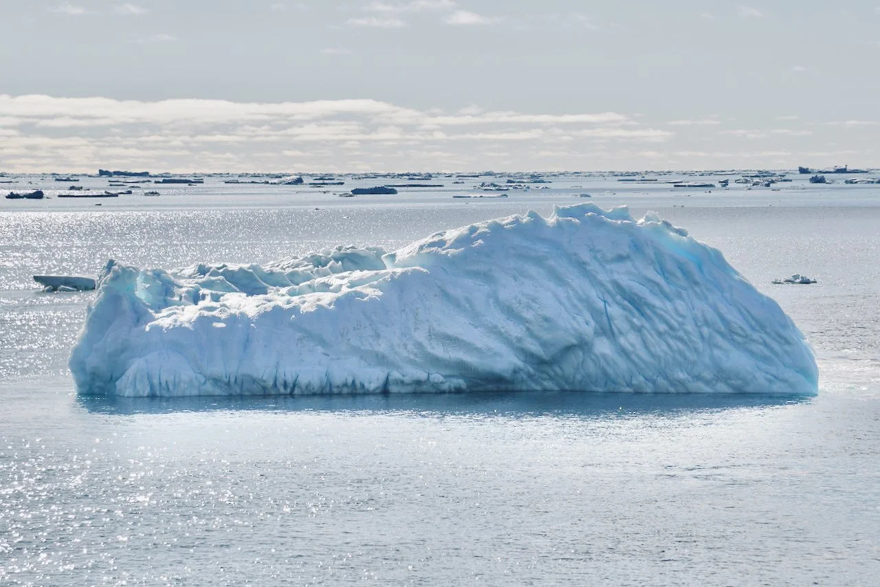 Elephant Island Sea Ice Humpback + Fin Whales - 28.jpeg