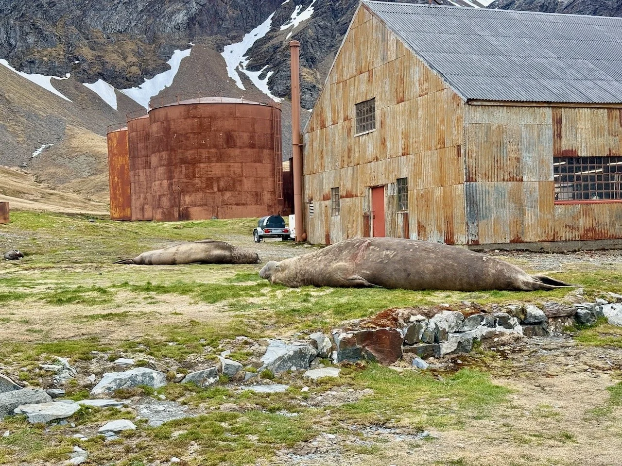 BT GRYTVIKEN - 5.jpeg