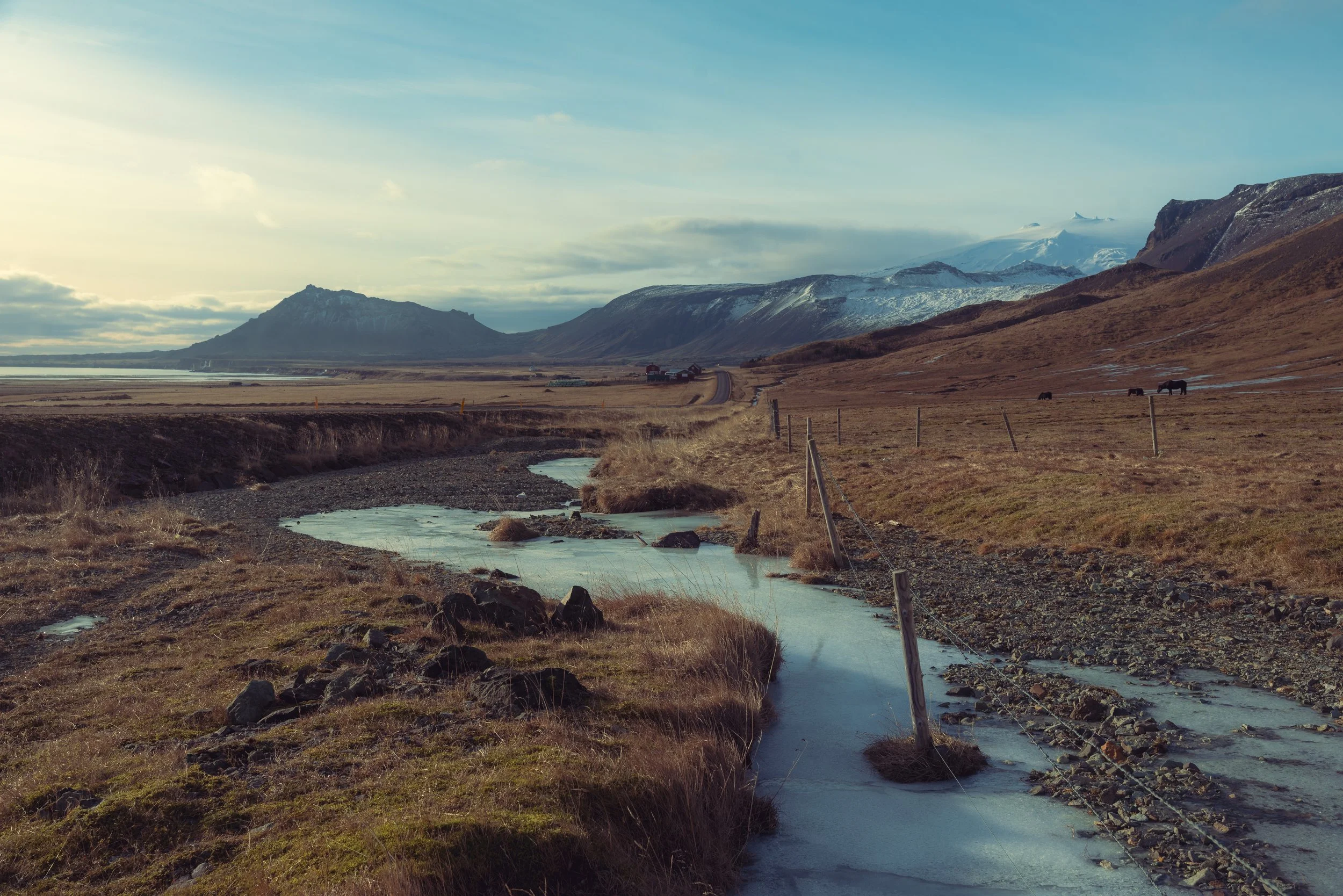 Iceland Medium-460.jpg