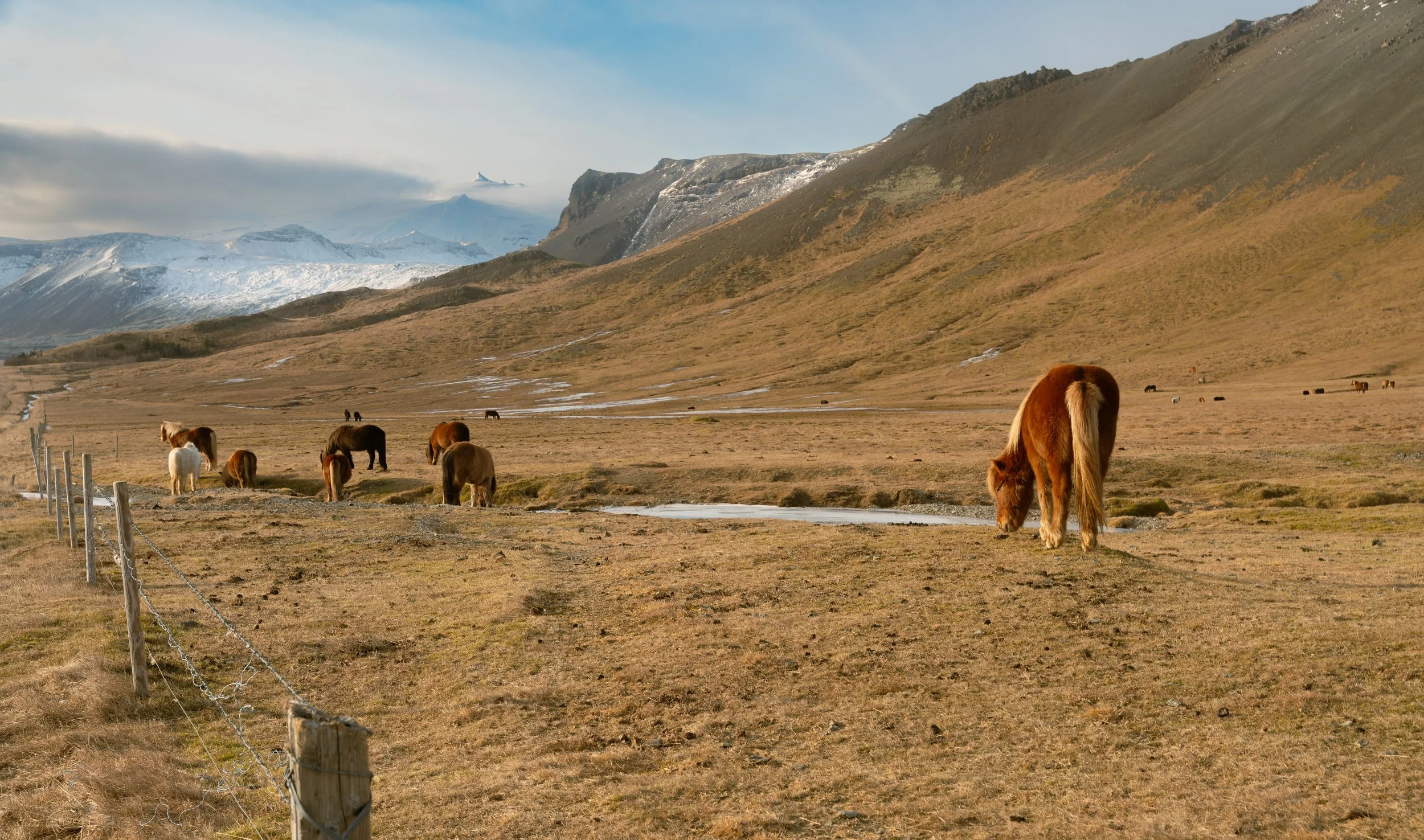 Iceland Medium-469.jpg
