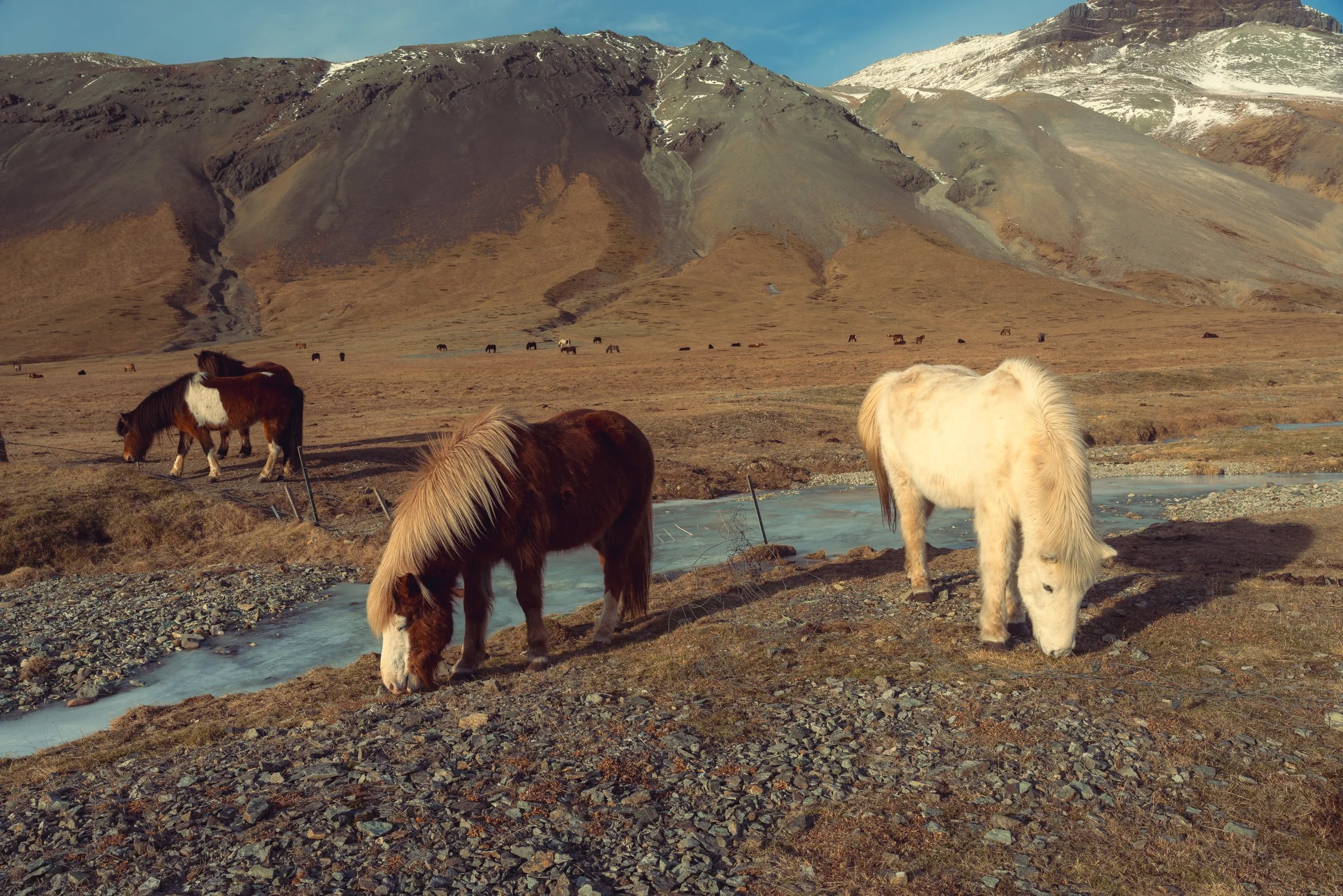 Iceland Medium-453.jpg