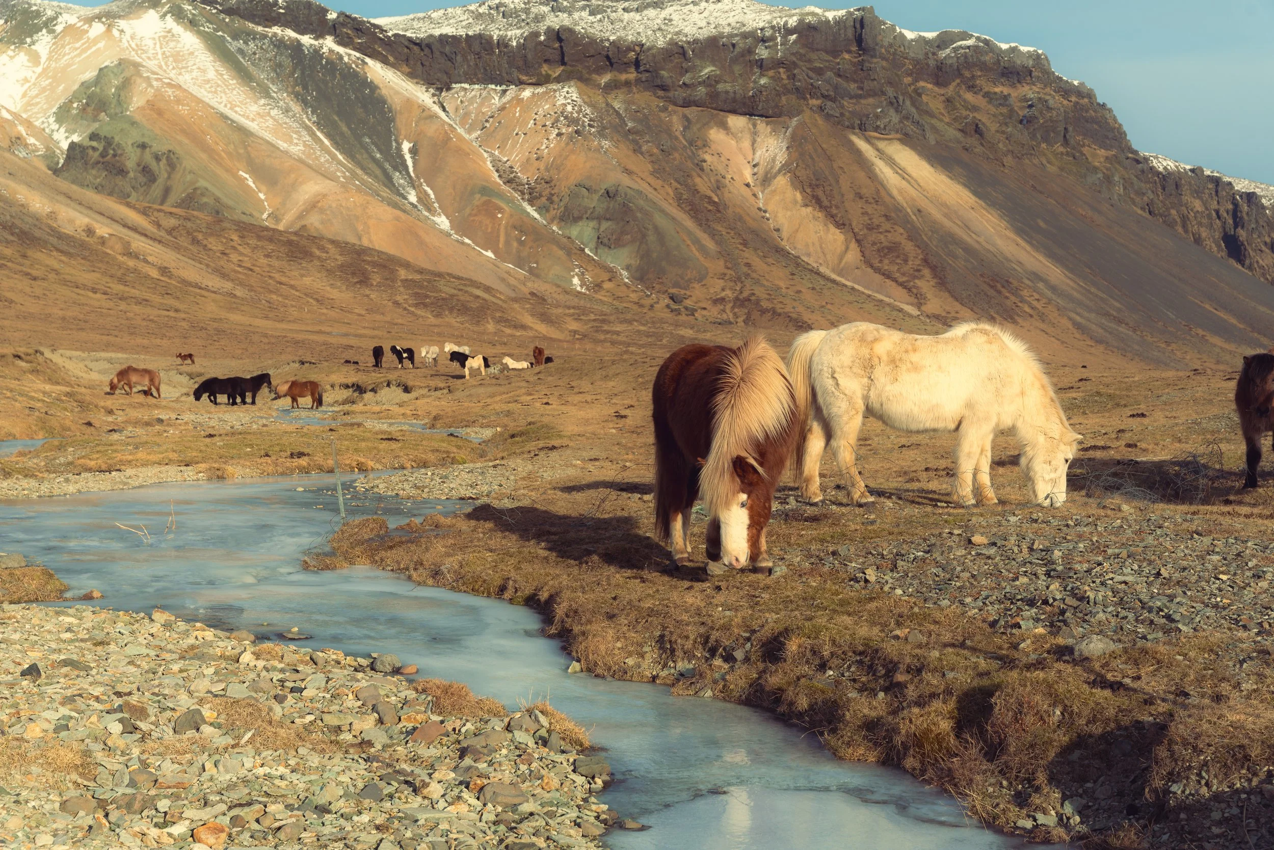 Iceland Medium-457.jpg