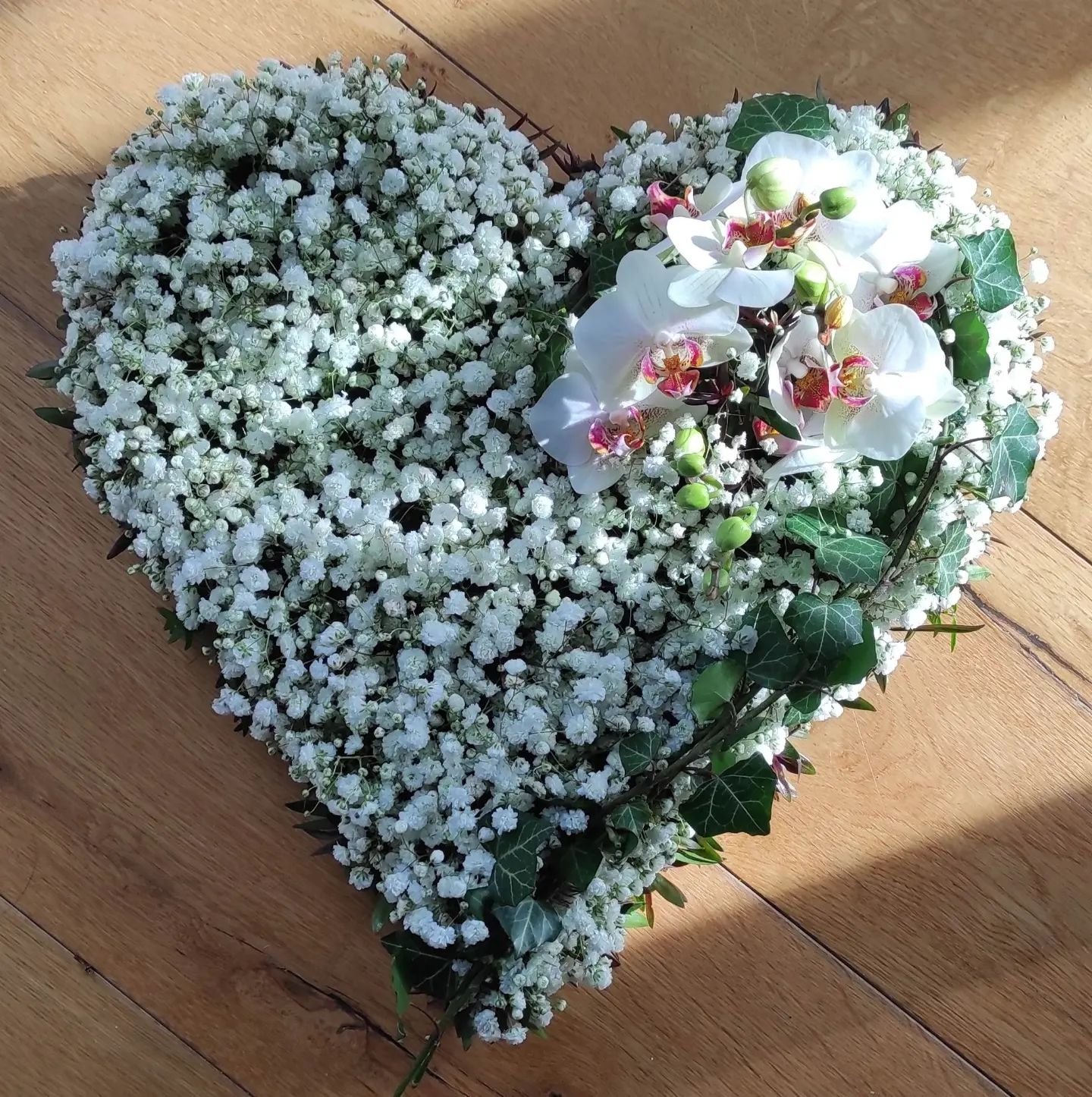 Gypsophila Closed Heart