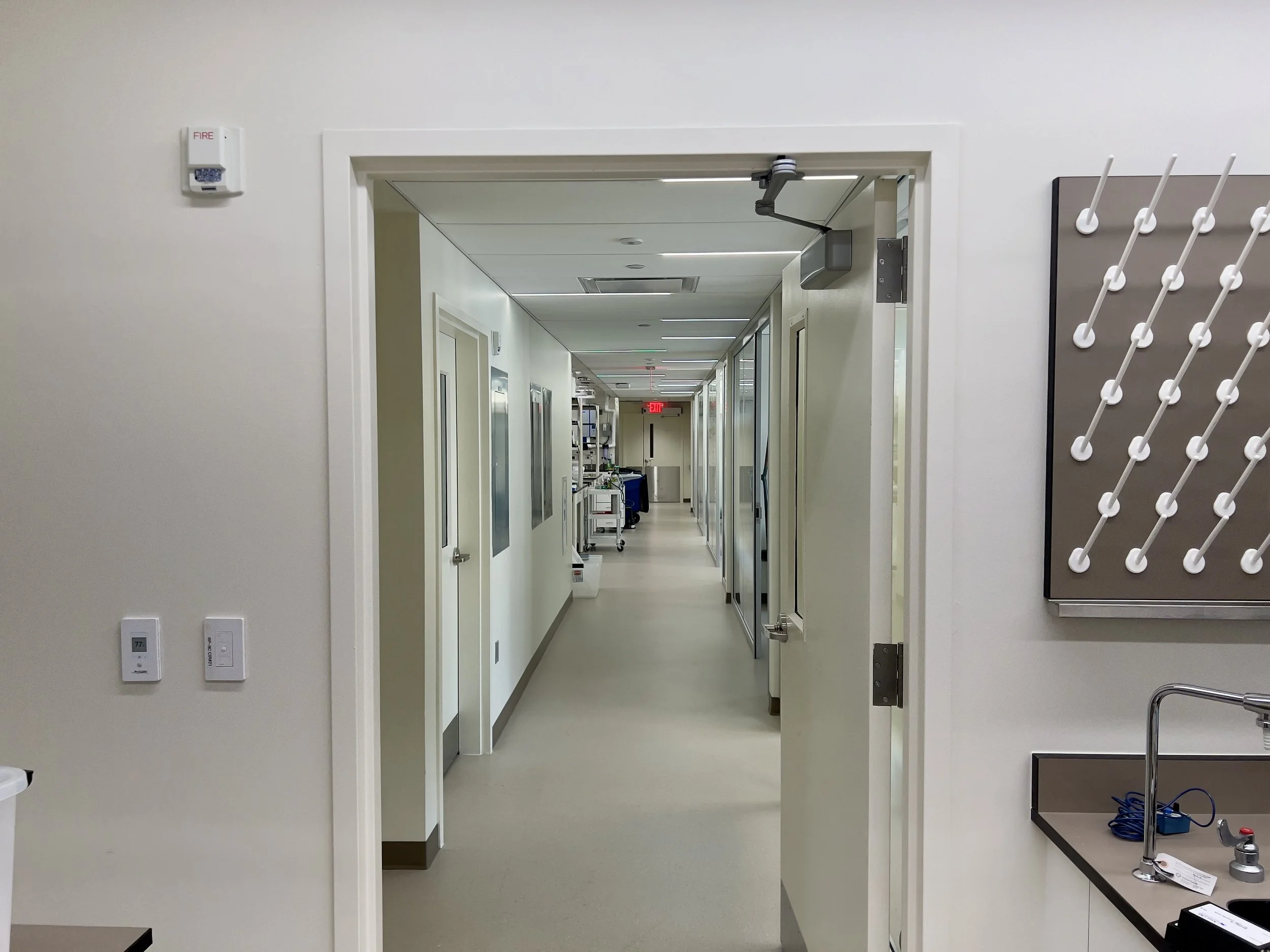 News — Nelson Lab