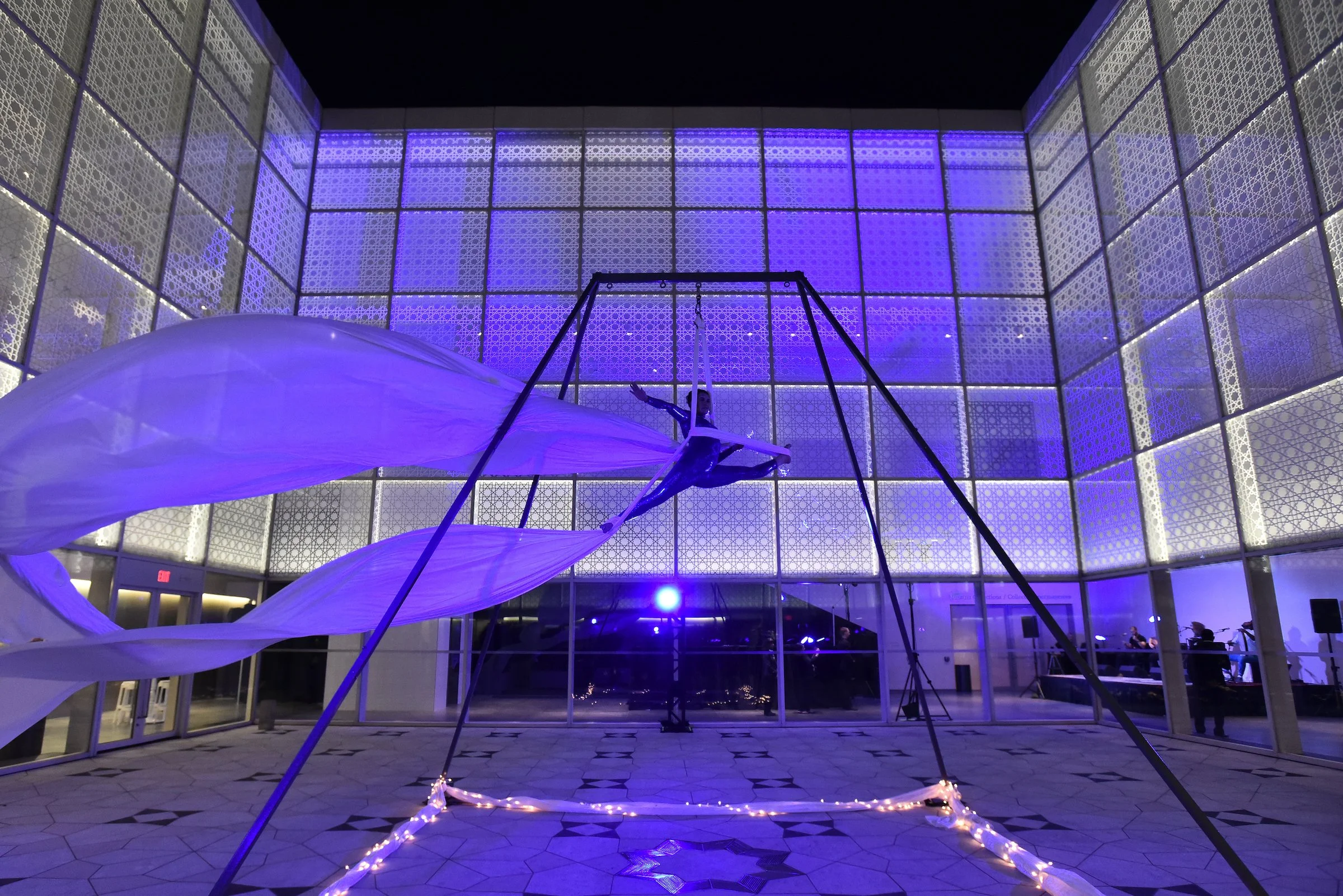 Intro to Aerial Ambience & Improv (Workshop)