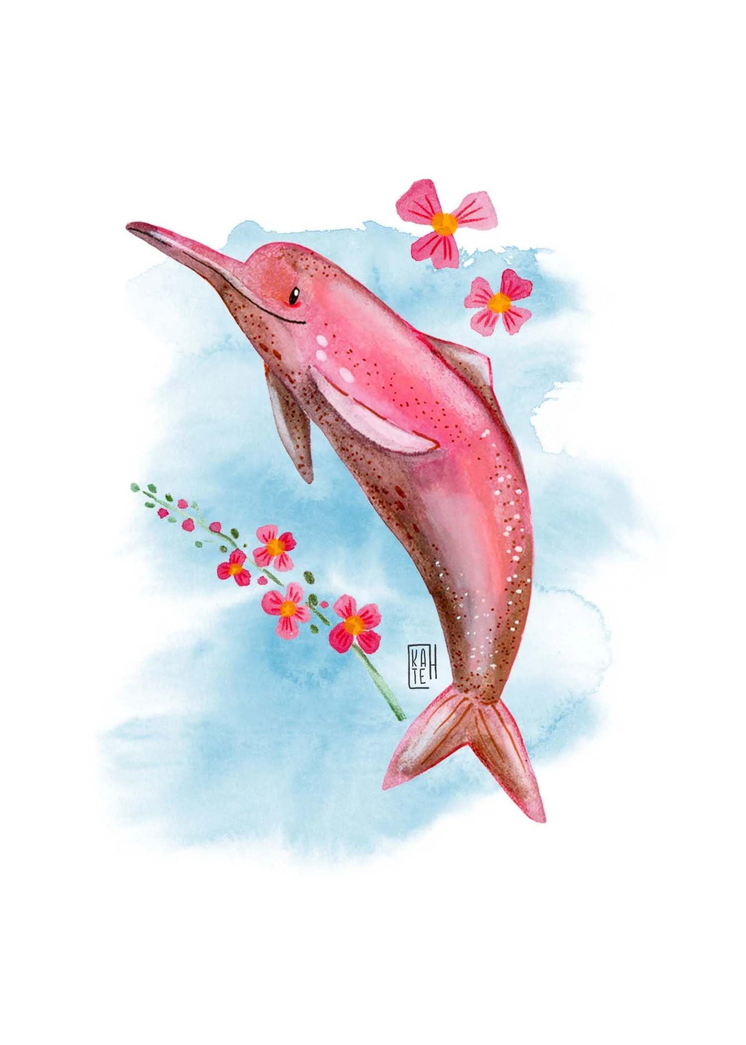 AC-237 pink dolphins-5.jpg