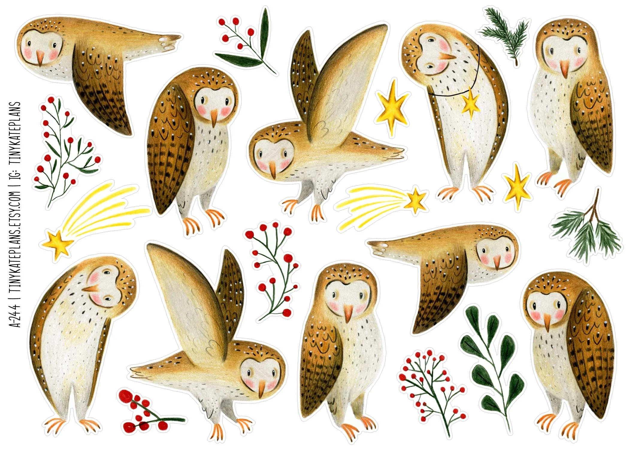 A-244 jolly and cute barn owls 5x7.jpg