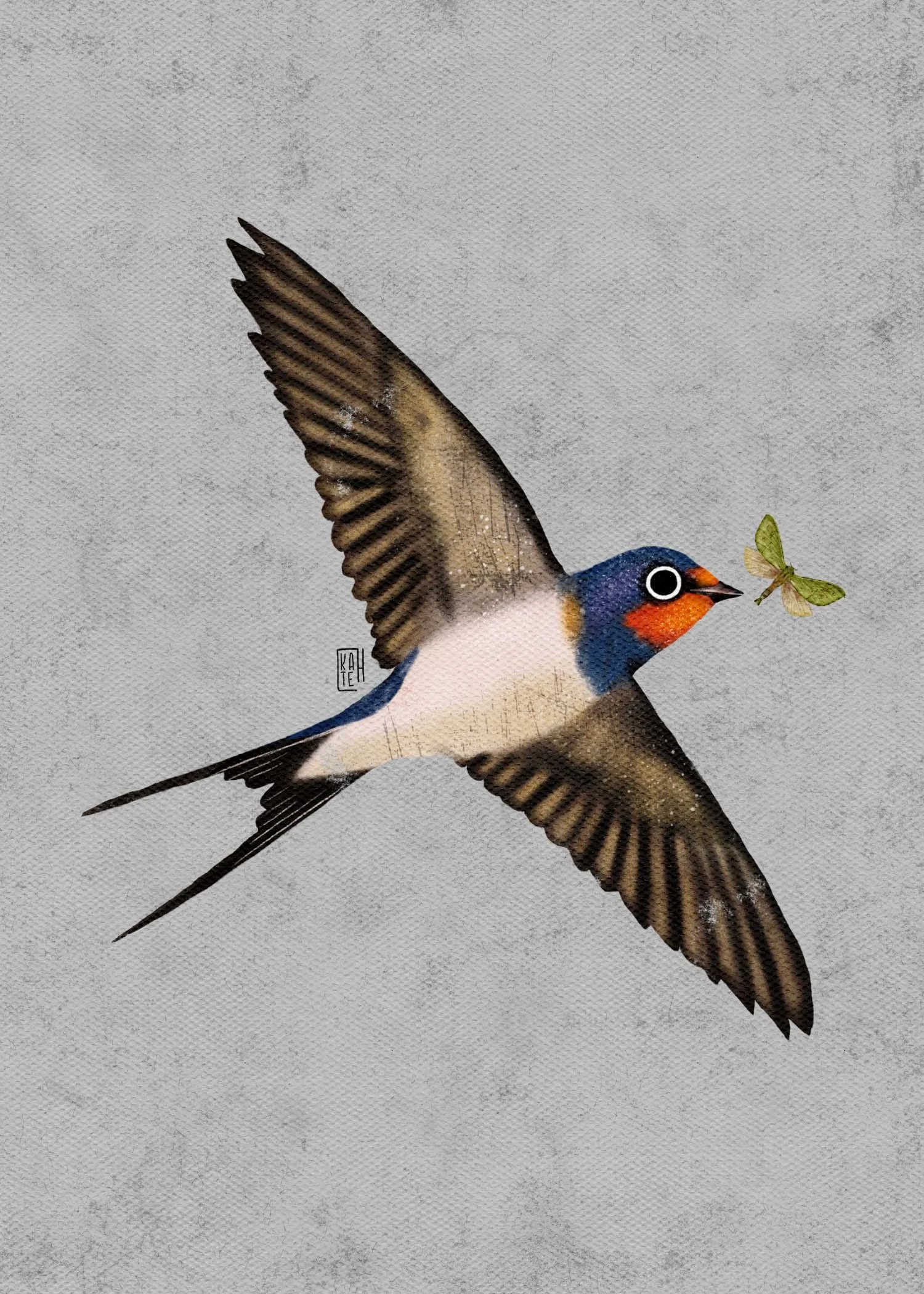 SBC-138 barn swallow-4.jpg