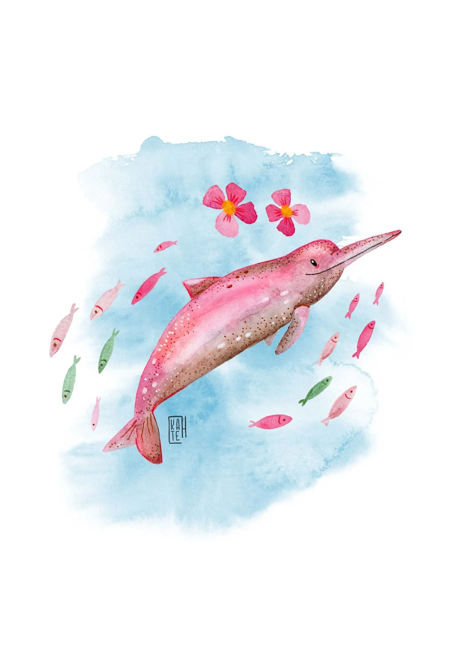 AC-237 pink dolphins-2.jpg