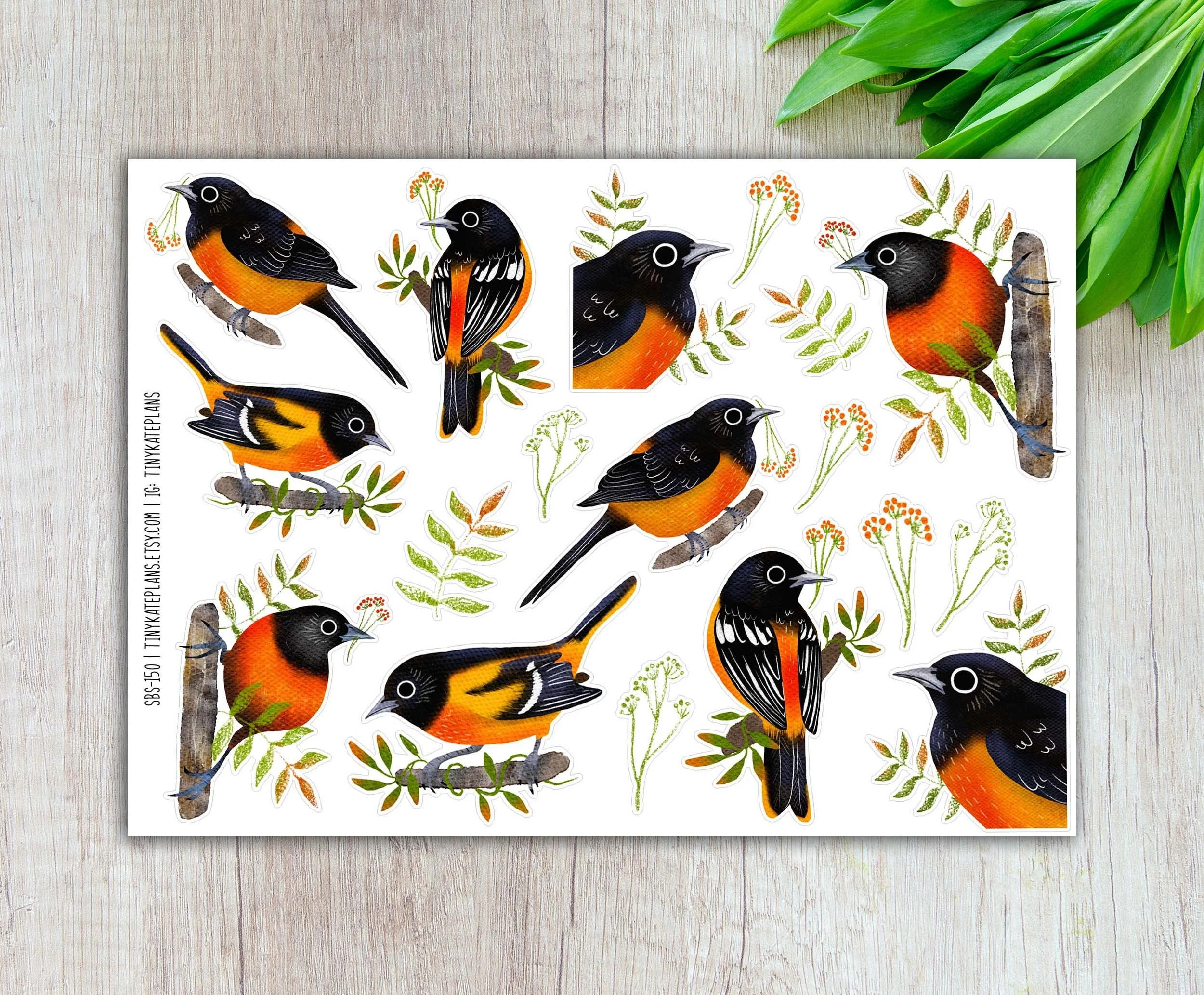 SBS-150 Baltimore oriole 5x7 etsy.jpg