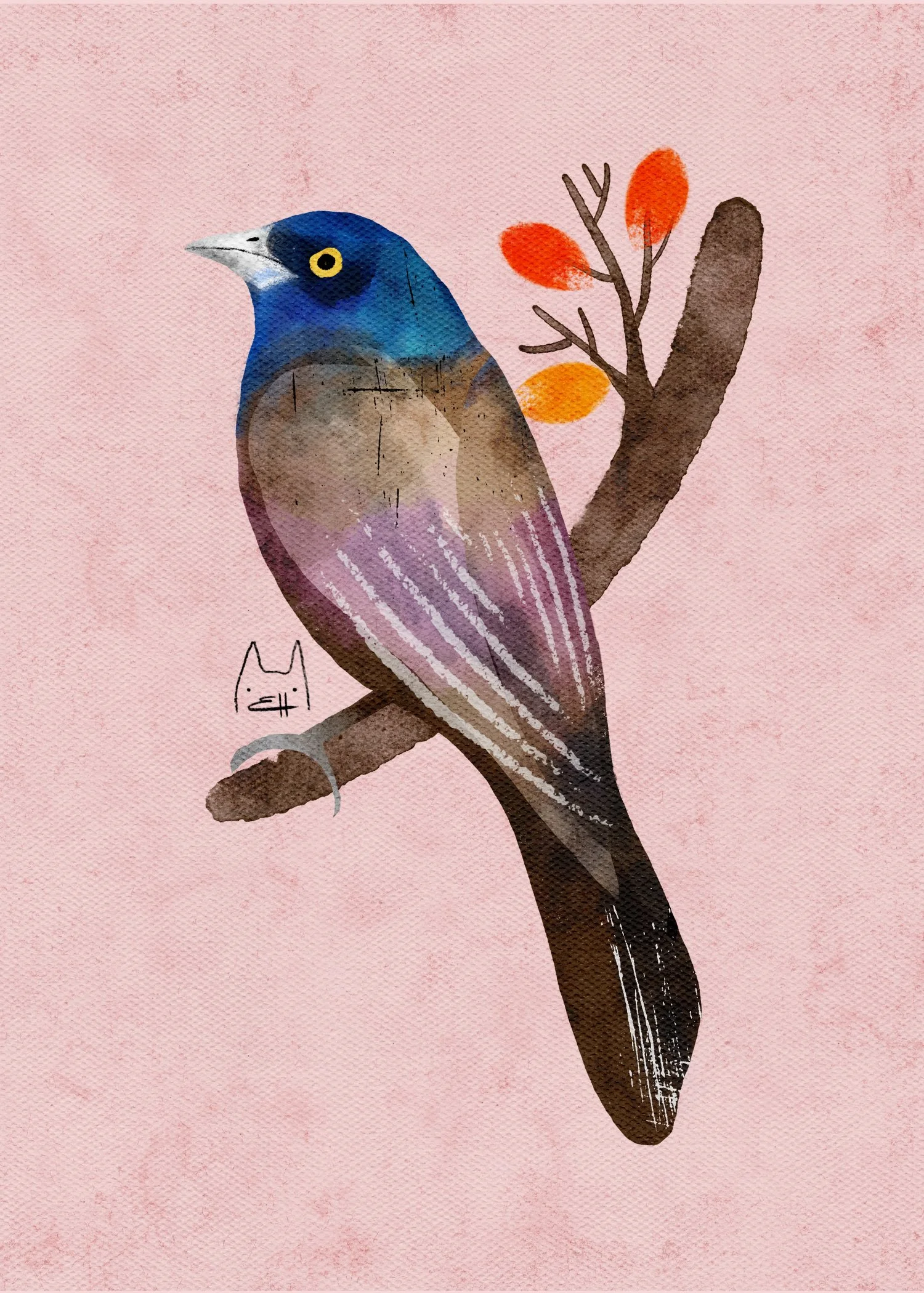 SBC-109 common grackle 1.jpg