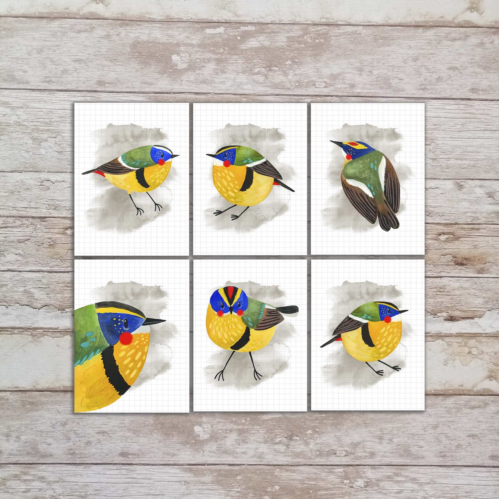 Tipin Art Card Set of 6, Many-colored Rush Tyrant Bird 3x4 Card Prints For Journalinging, Journaling Mini Art Cards, Bird Art Tipins. TI-112