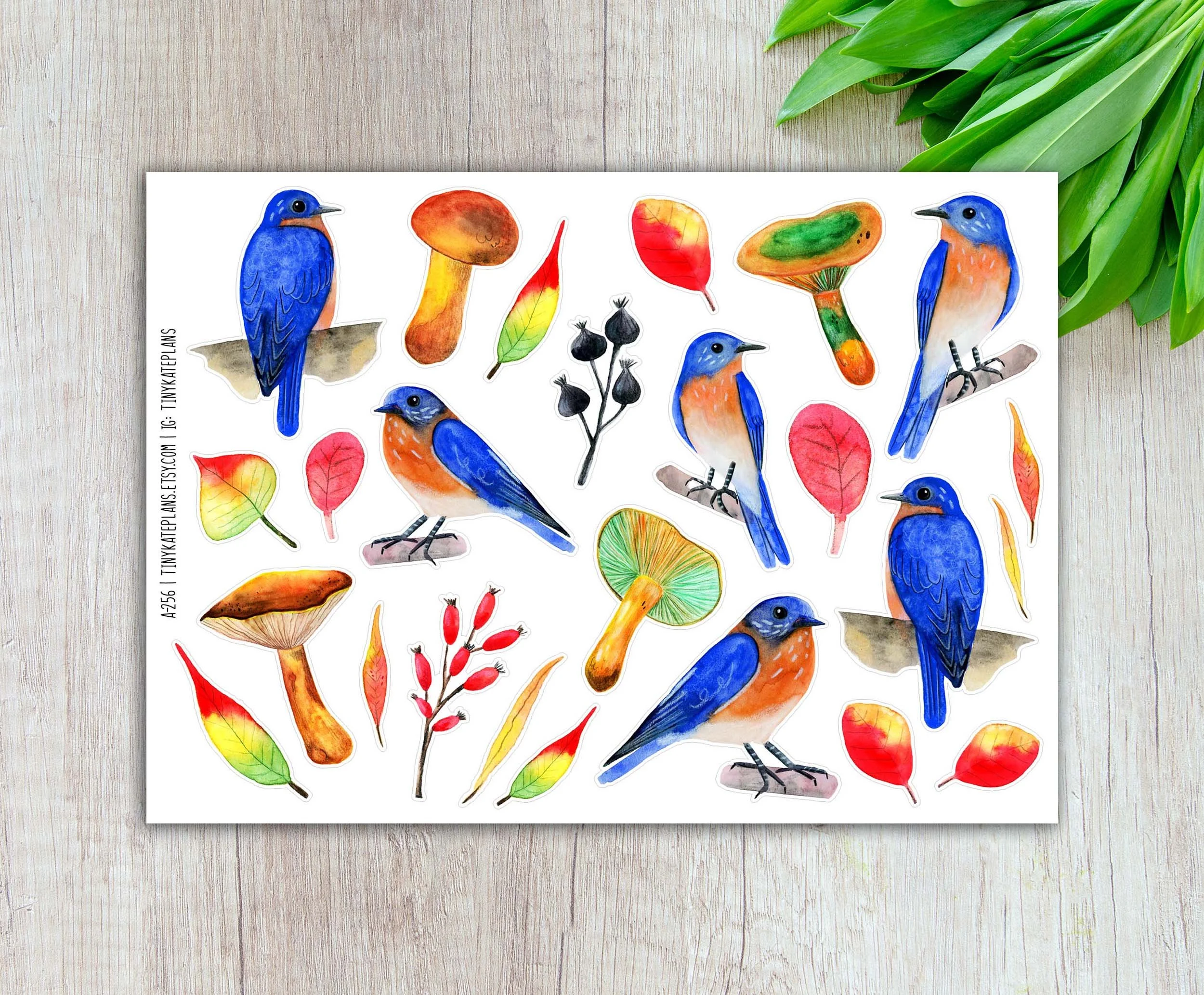 A-255 eastern bluebirds and shrooms 5x7 etsy.jpg