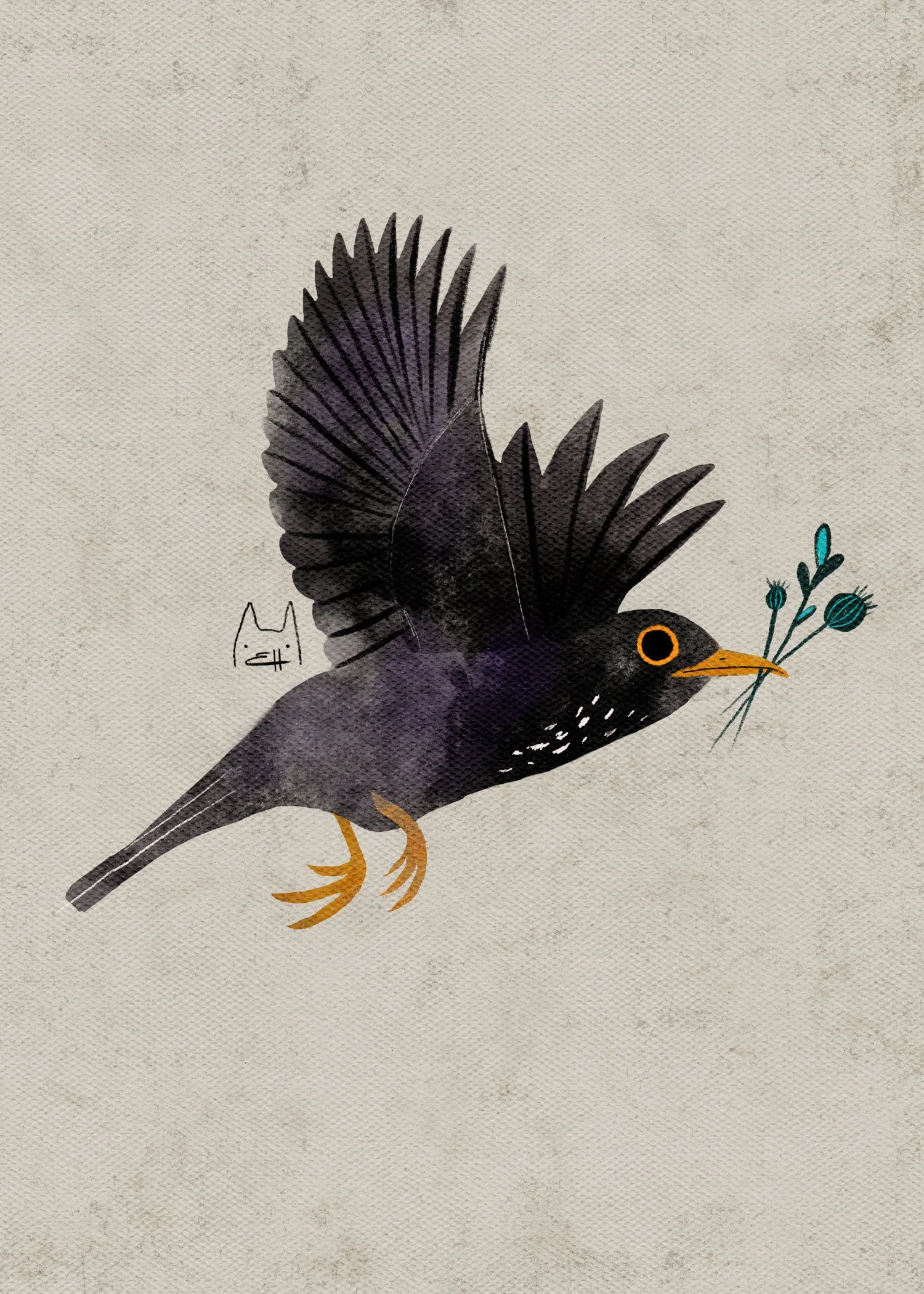 SBC-116 common blackbird 1.jpg