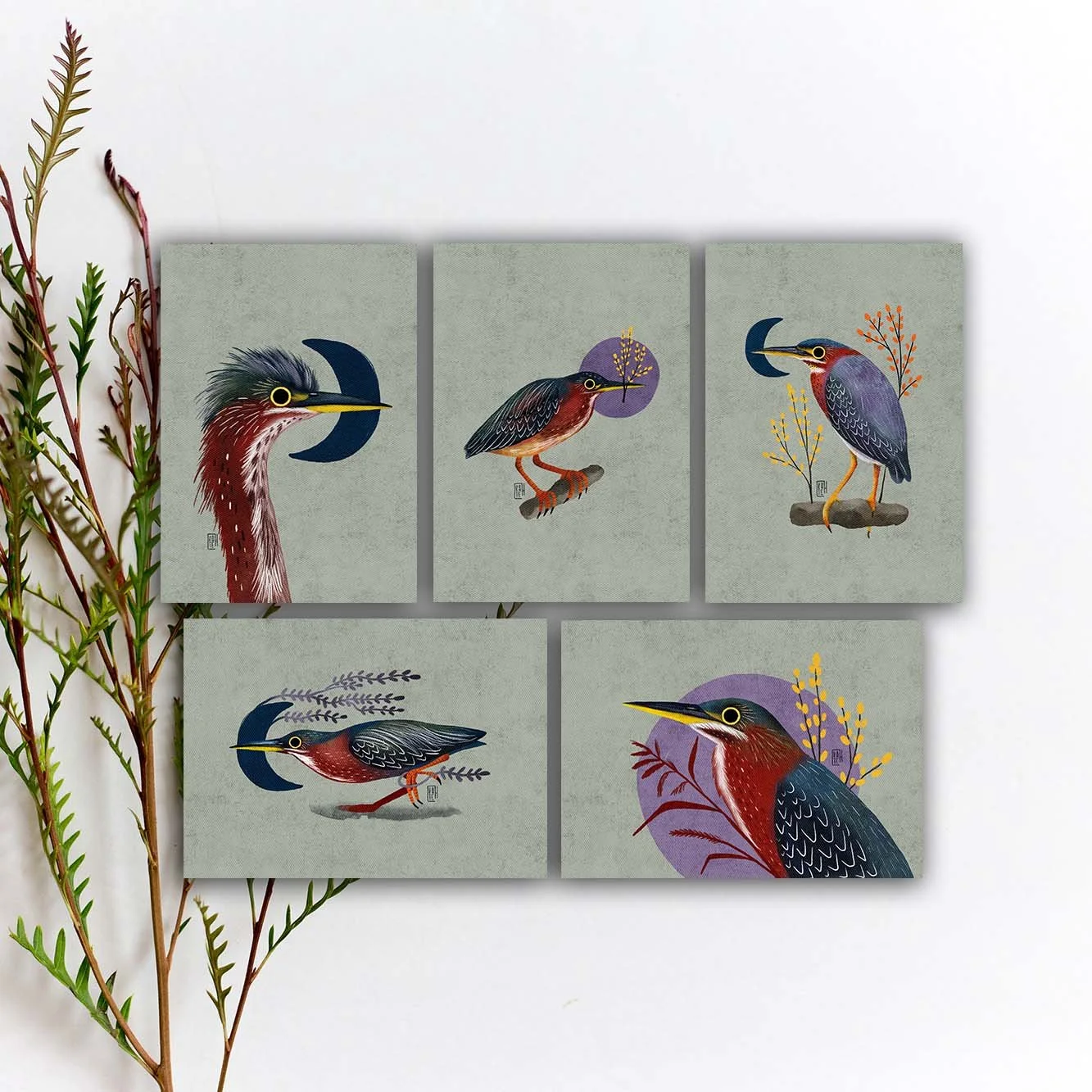 SBC-134 green heron 5x7 etsy.jpg