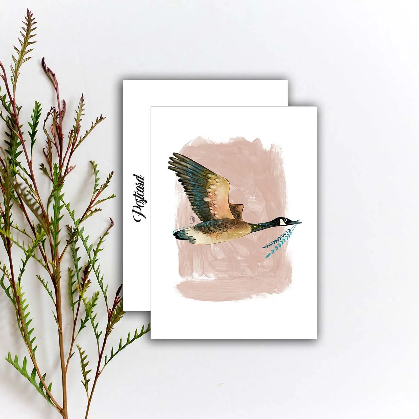 Canada Goose Journey Postcard, Spring Postcrossing Postcard Print, Bird Penpal Postcard. AC-232