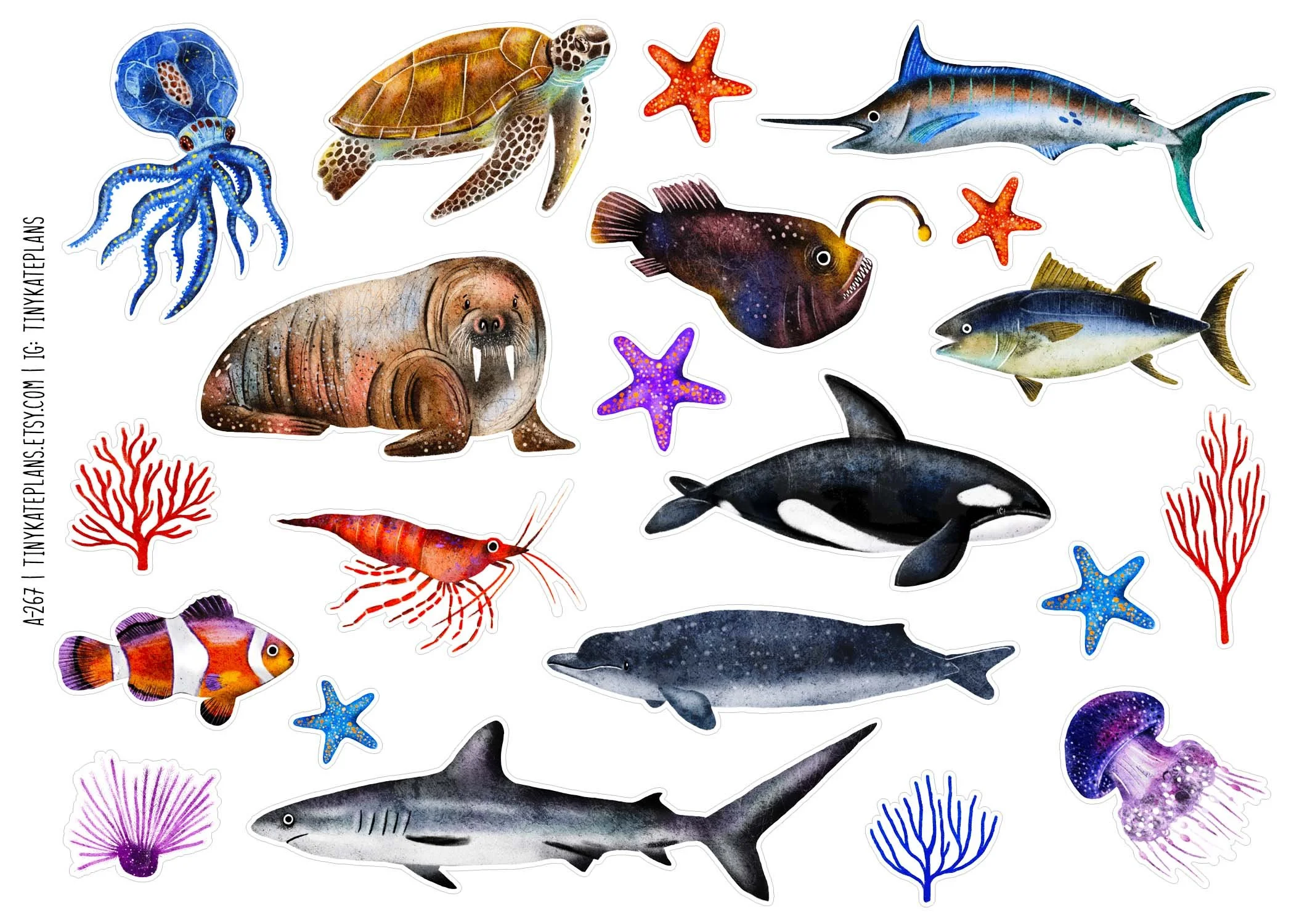 A-267 Ocean creatures 5x7.jpg