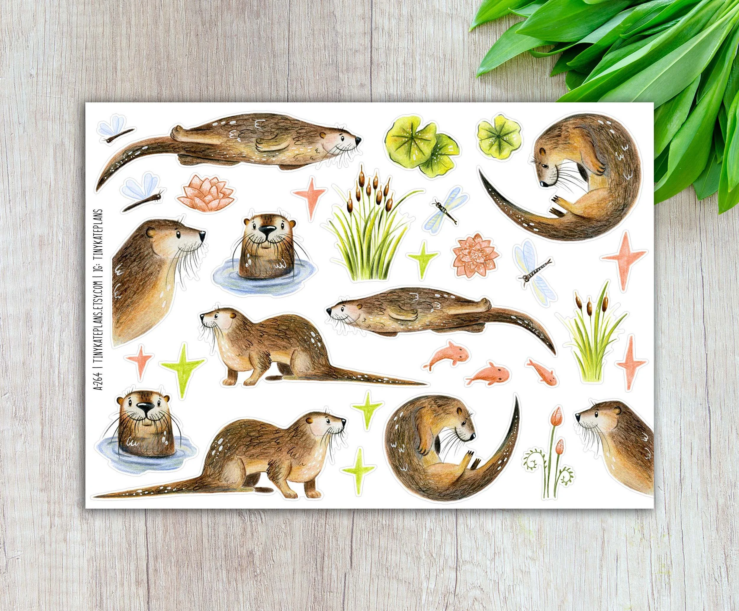 A-264 River otter 5x7 etsy.jpg