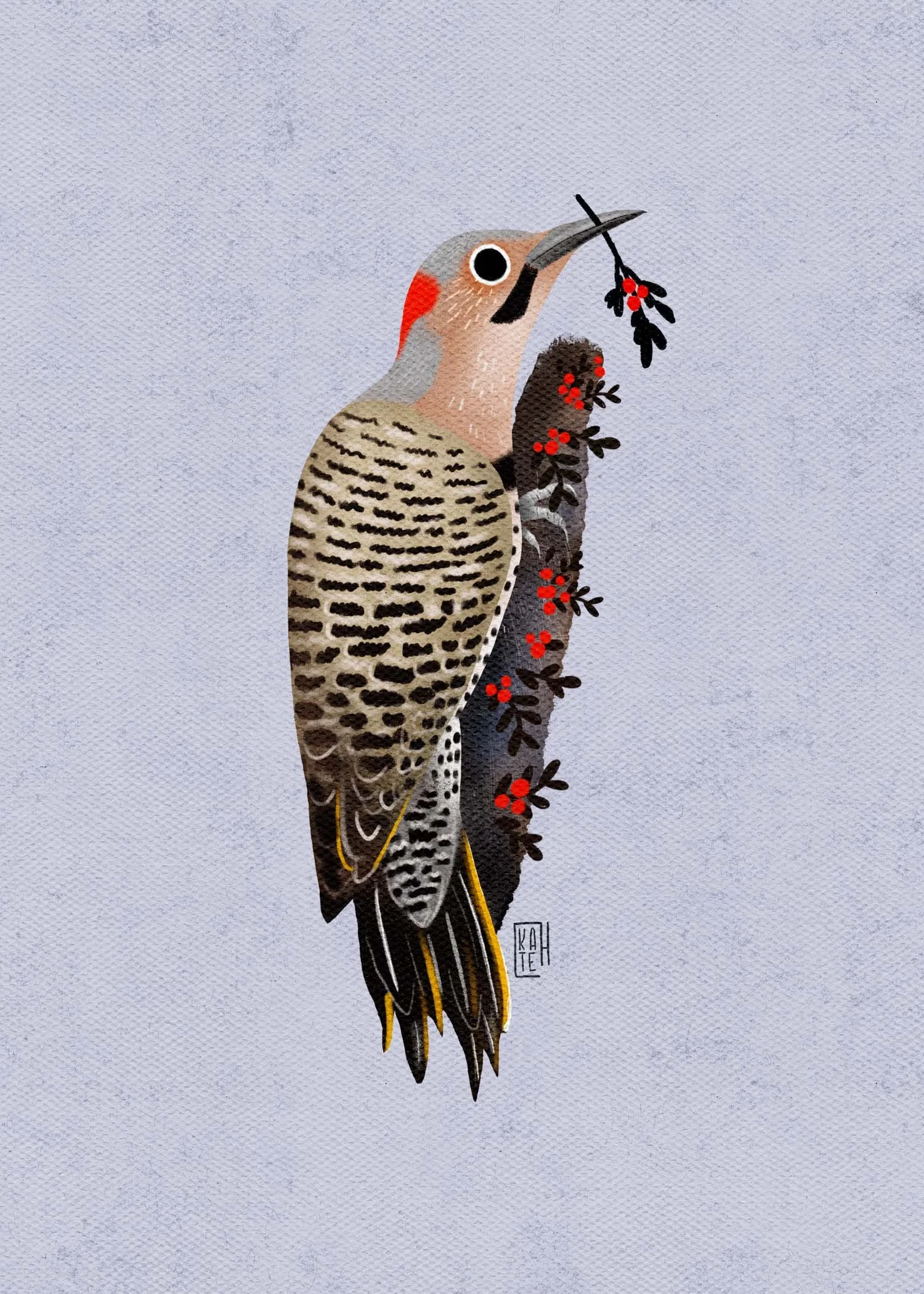 SBC-153 north flicker 2.jpg
