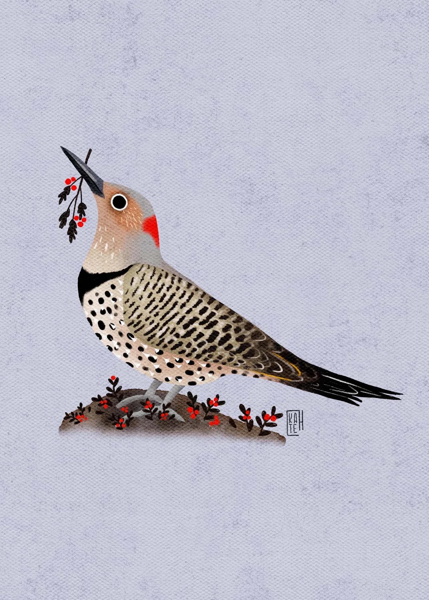SBC-153 north flicker 3.jpg