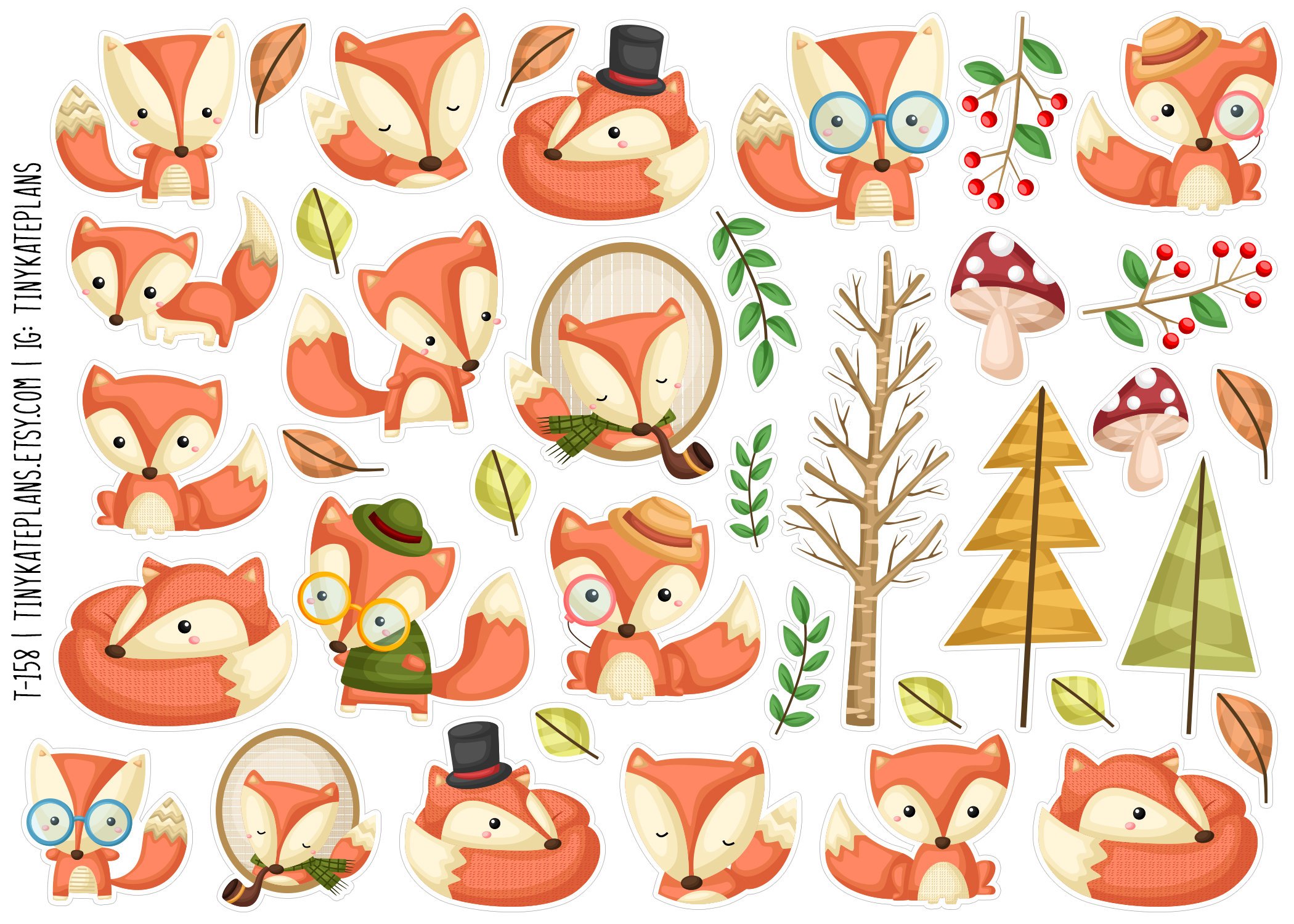 https://i.etsystatic.com/20683160/r/il/ad7452/4037981667/il_fullxfull.4037981667_i3ly.jpg