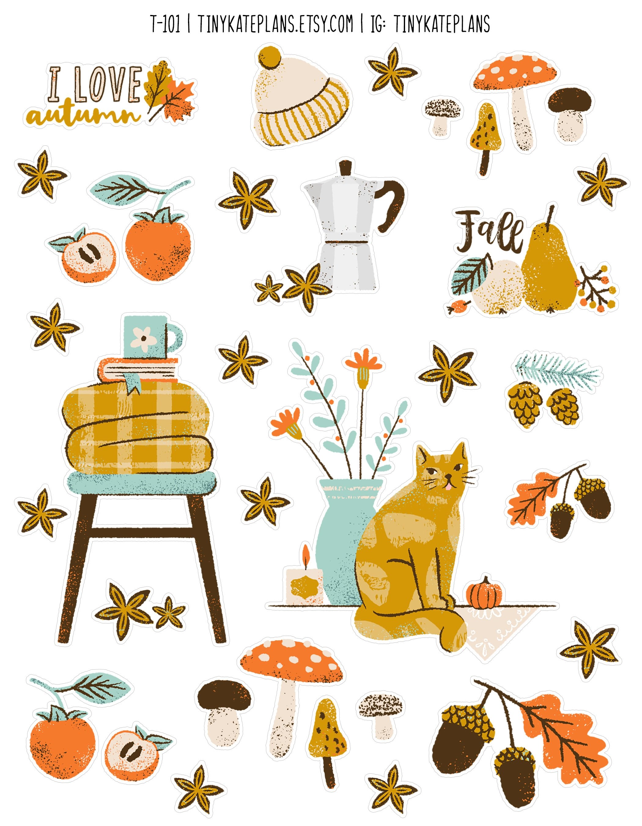 https://i.etsystatic.com/20683160/r/il/c91a57/2462602602/il_fullxfull.2462602602_ro9f.jpg