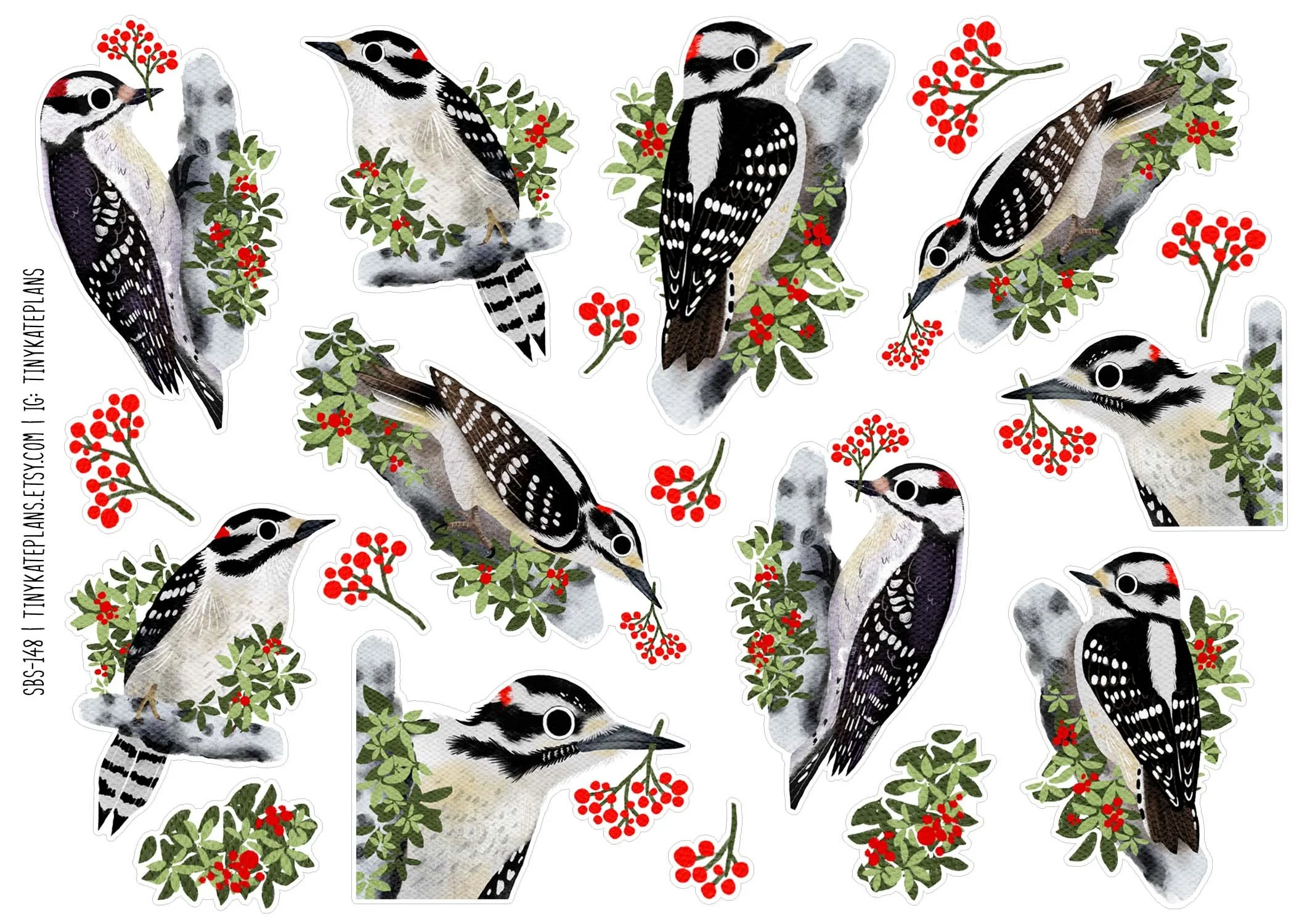 Downy woodpecker 5x7.jpg