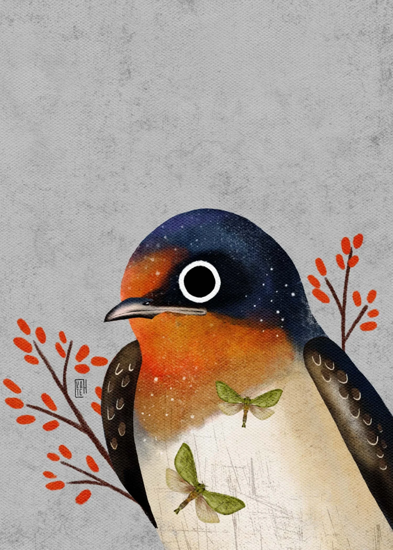 SBC-138 barn swallow-3.jpg