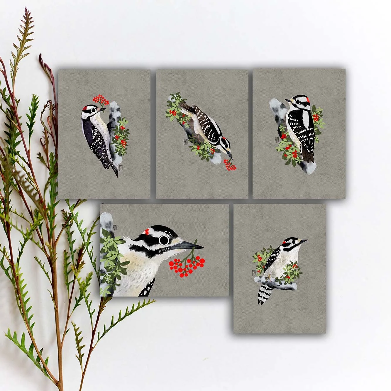 SBC-148 Downy Woodpecker 5x7 etsy.jpg