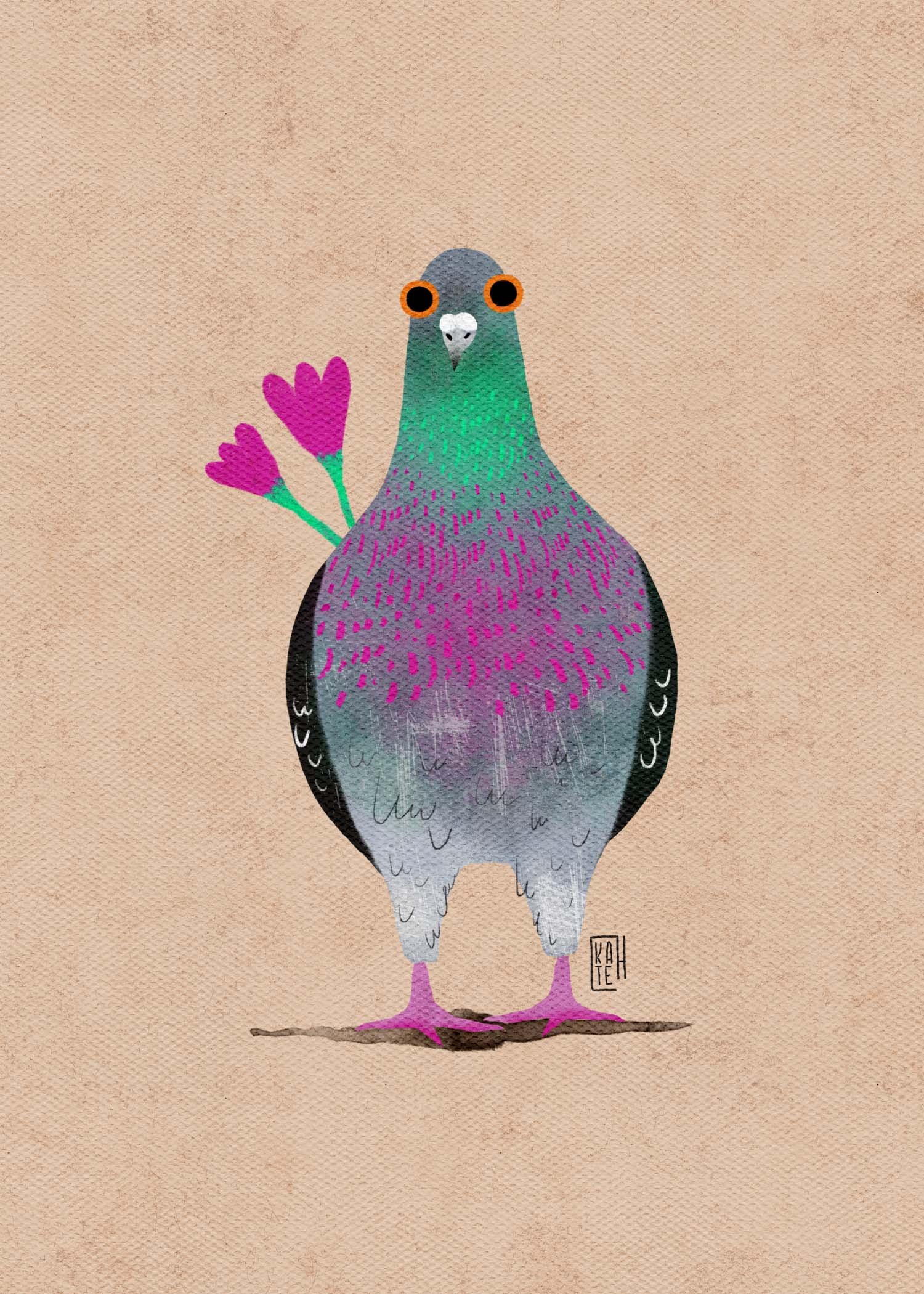 SBC-144 rock pigeons-4.jpg