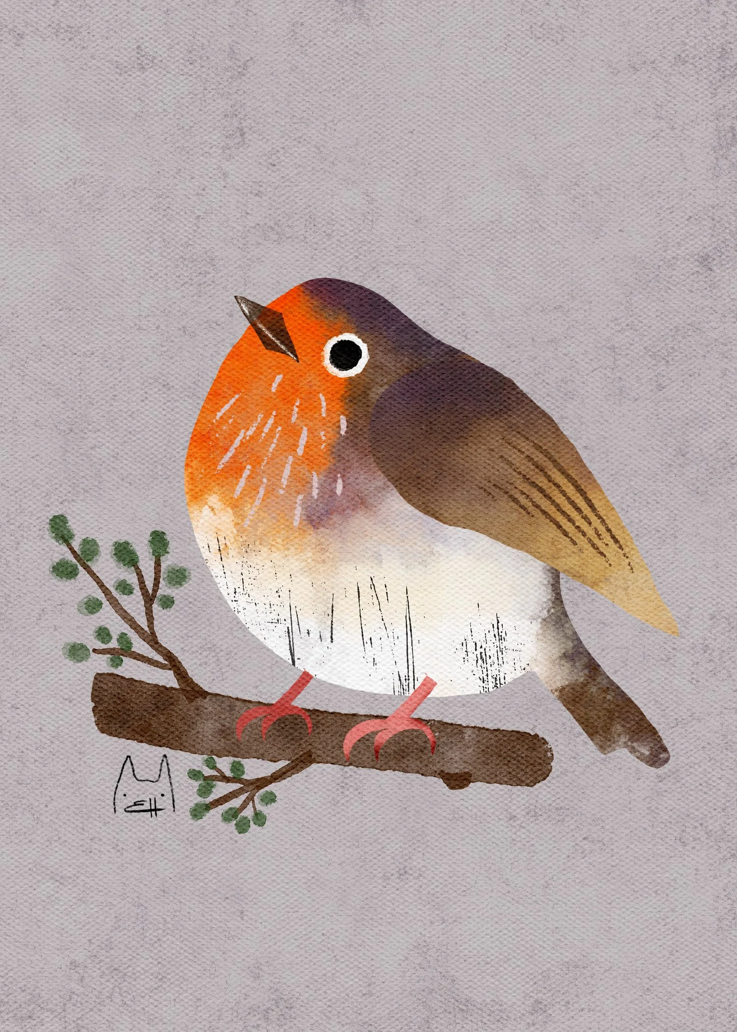 SBC-105 english robin-3.jpg